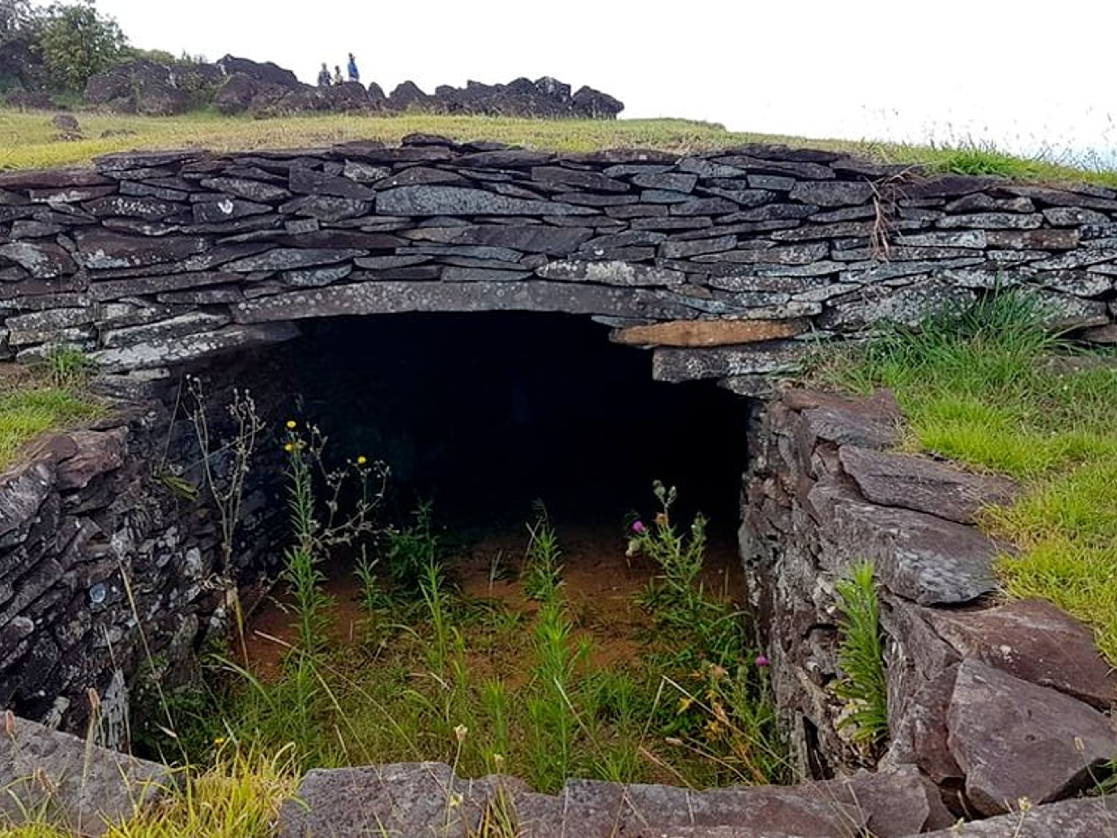 VISITE “ORONGO, TANGATA MANU CEREMONIAL”.. null