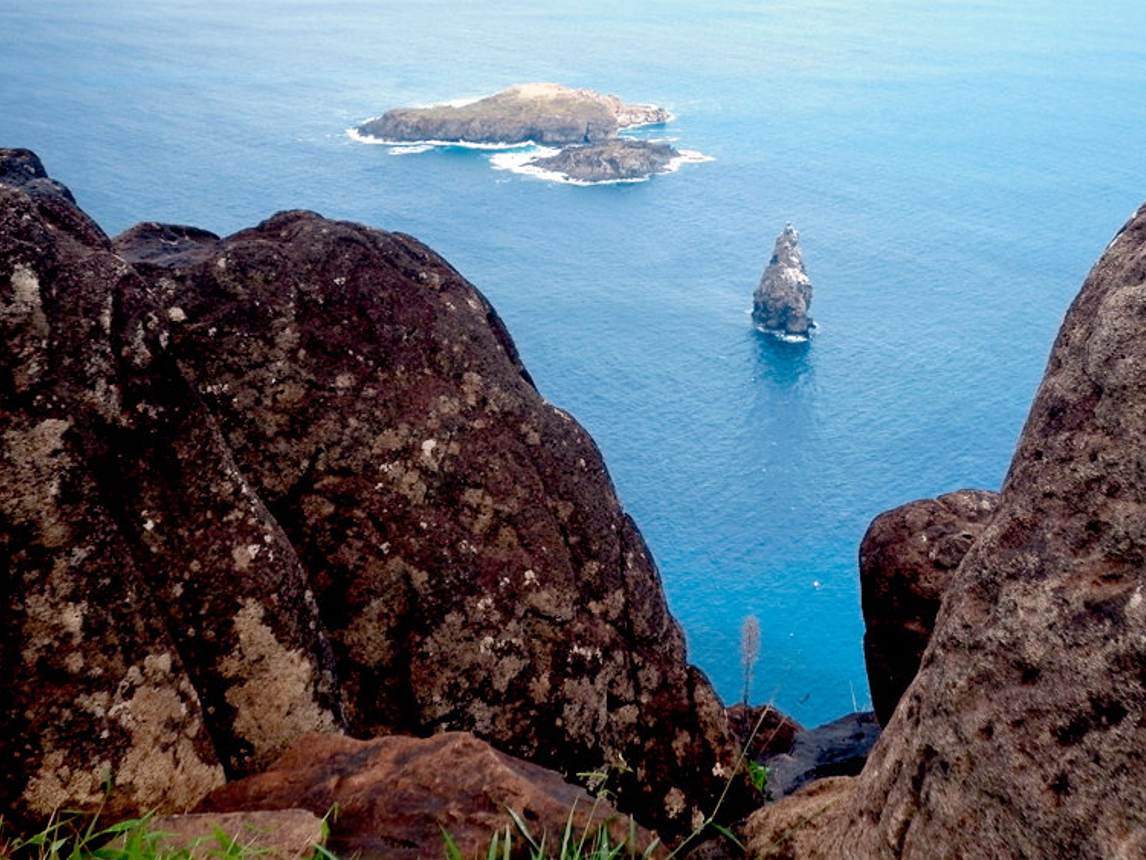 VISITE “ORONGO, TANGATA MANU CEREMONIAL”.. null