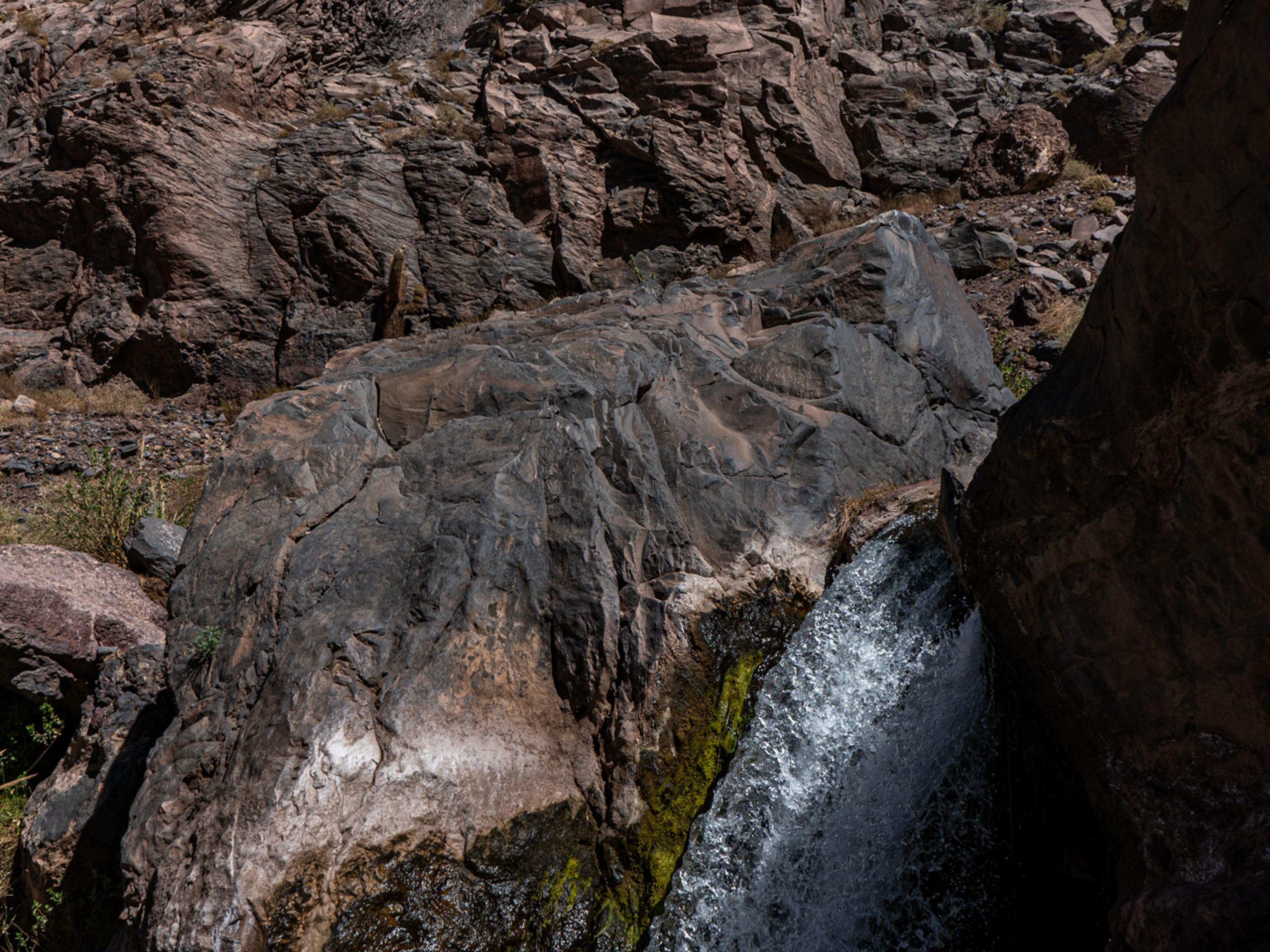 “HIDDEN WATERFALL TREKKING" Tour. null