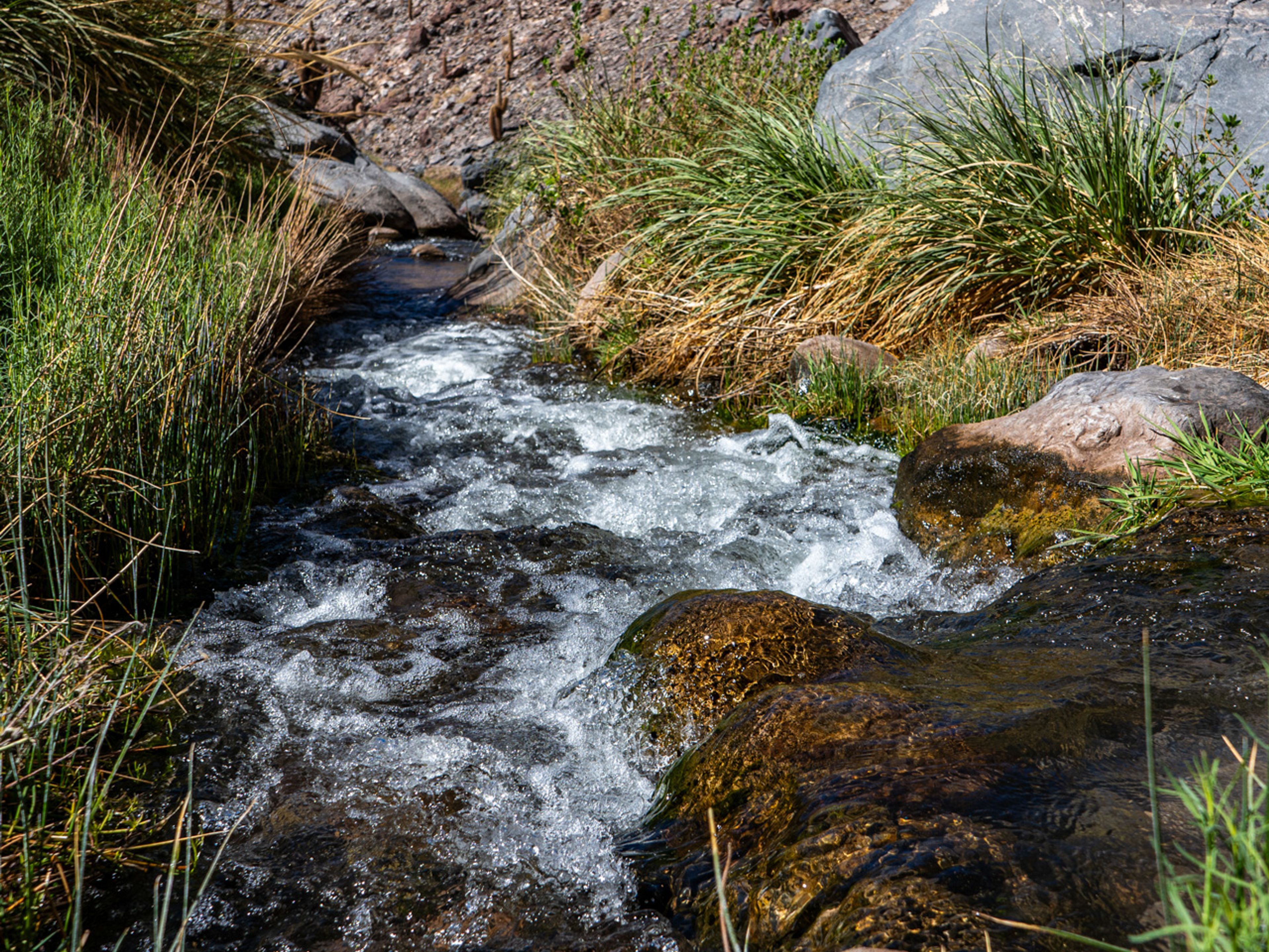“HIDDEN WATERFALL TREKKING" Tour. null
