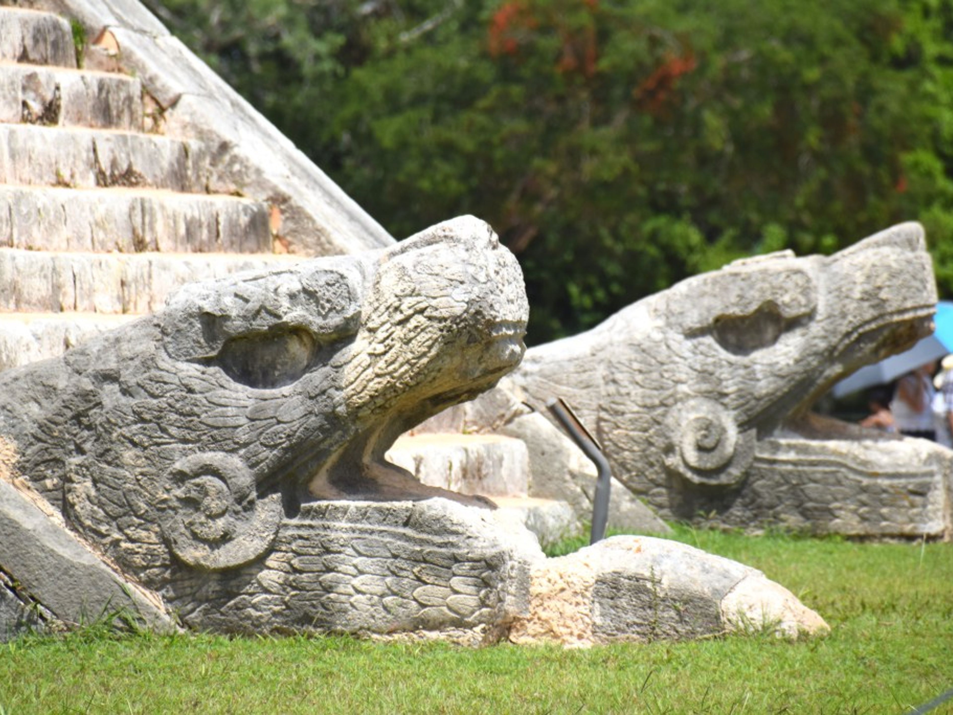 Tour "Private Chichen Itza Classic". A feathered serpent sculpture at the base of one of the stairways of El Castillo, in Chichen Itza Archaeological Zone, cancun. Mexico.