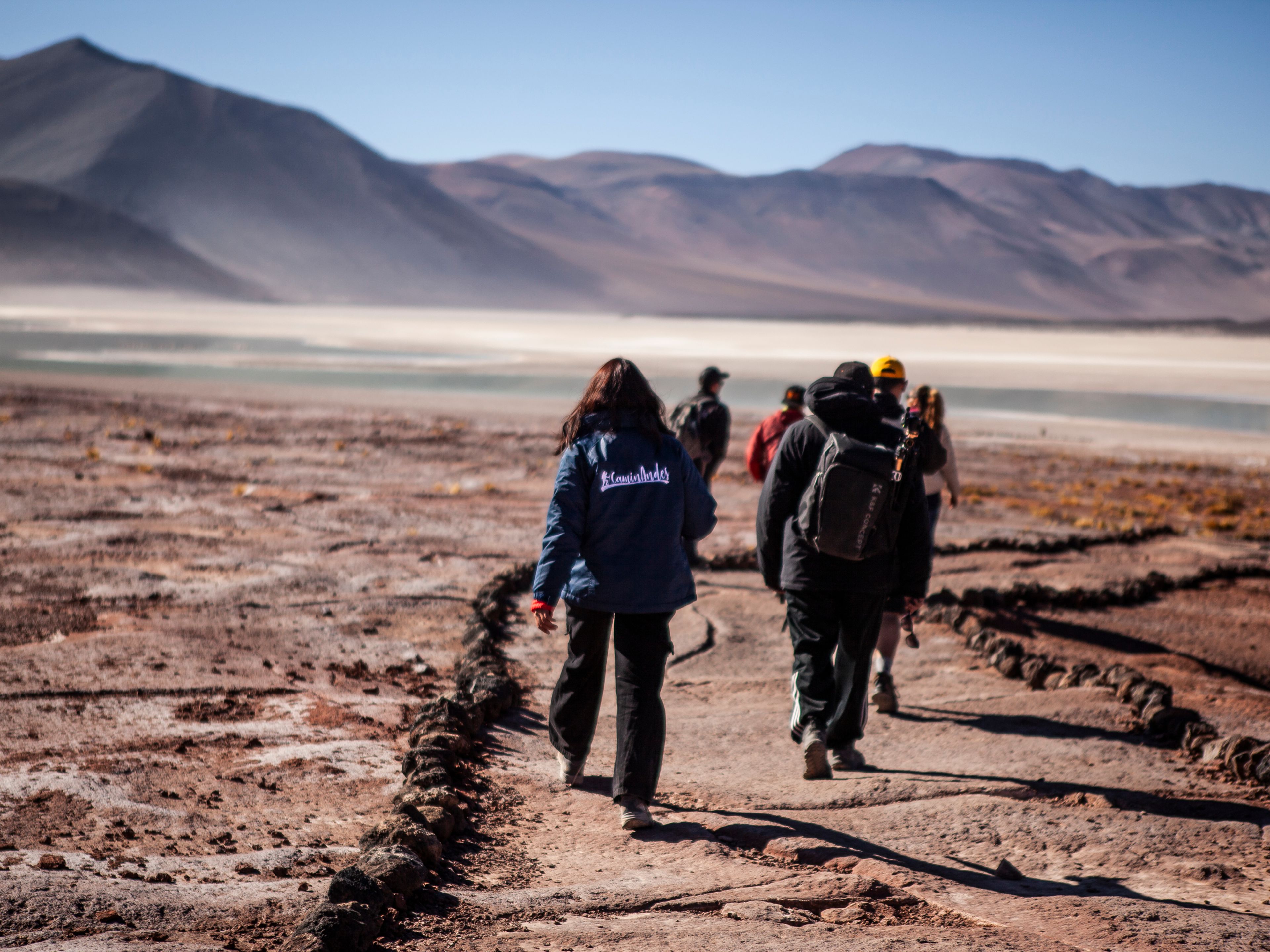 "PIEDRAS ROJAS & LAGUNEN DES ALTIPLANO" PREMIUM Tour. "PIEDRAS ROJAS & ALTIPLANIC LAGOONS" PREMIUM Tour, San pedro de Atacama, Chile. 