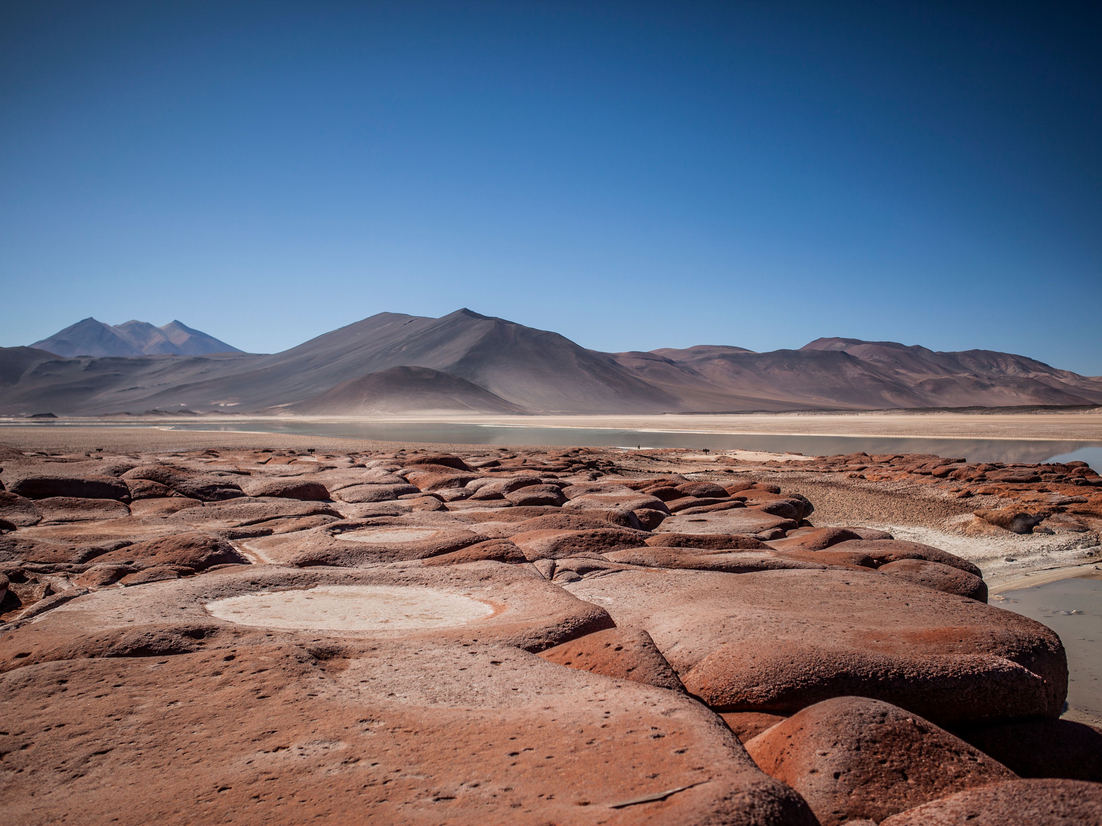"PIEDRAS ROJAS & LAGUNEN DES ALTIPLANO" PREMIUM Tour. "PIEDRAS ROJAS & ALTIPLANIC LAGOONS" PREMIUM Tour, San pedro de Atacama, Chile. 