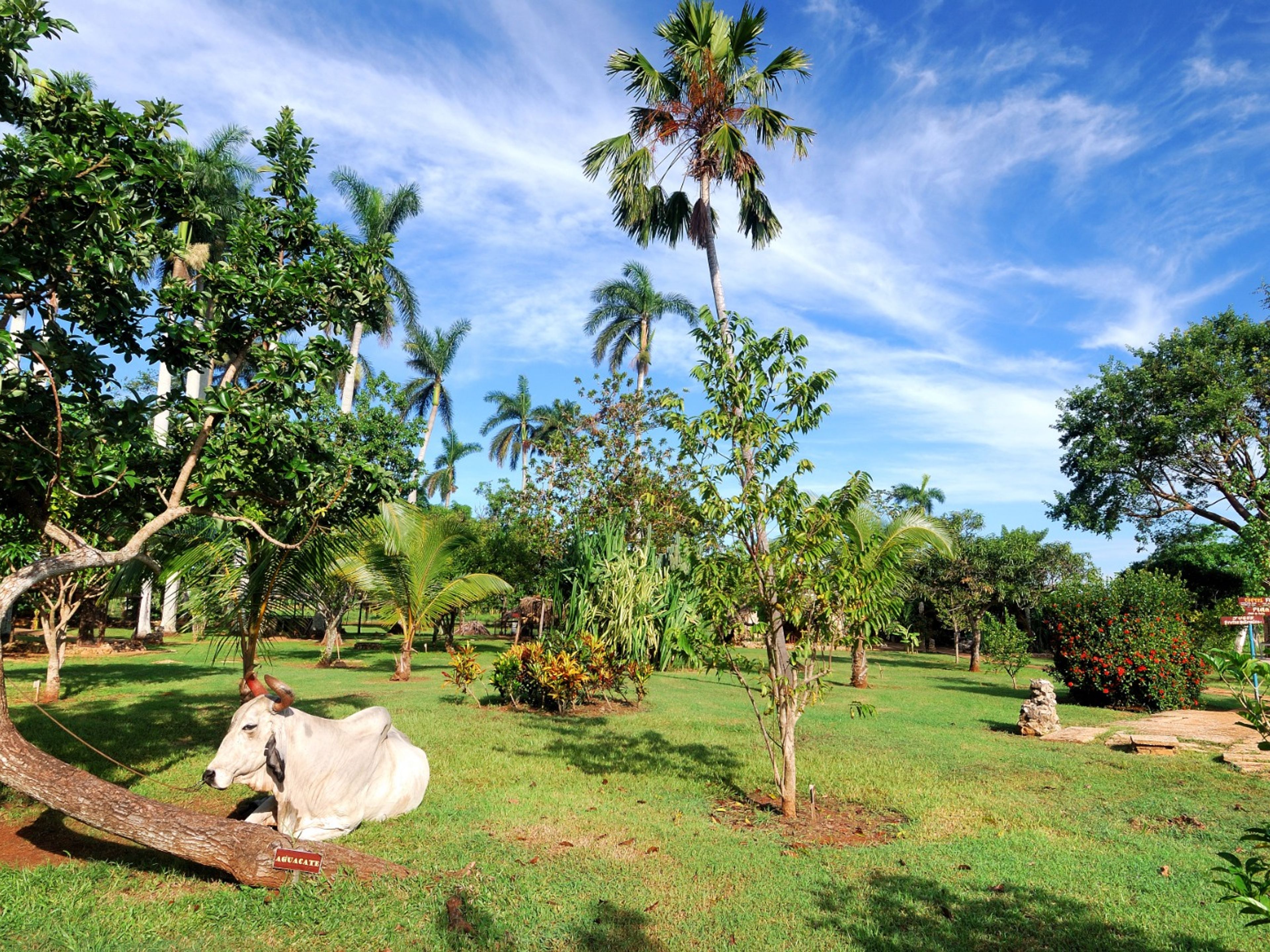 Тур "ГУАМА И КАРИБСКОЕ МОРЕ В АМЕРИКАНСКИХ КЛАССИЧЕСКИХ АВТОМОБИЛЯХ". Fiesta Campesina farm panoramic view, Península de Zapata, Matanzas, Cuba.