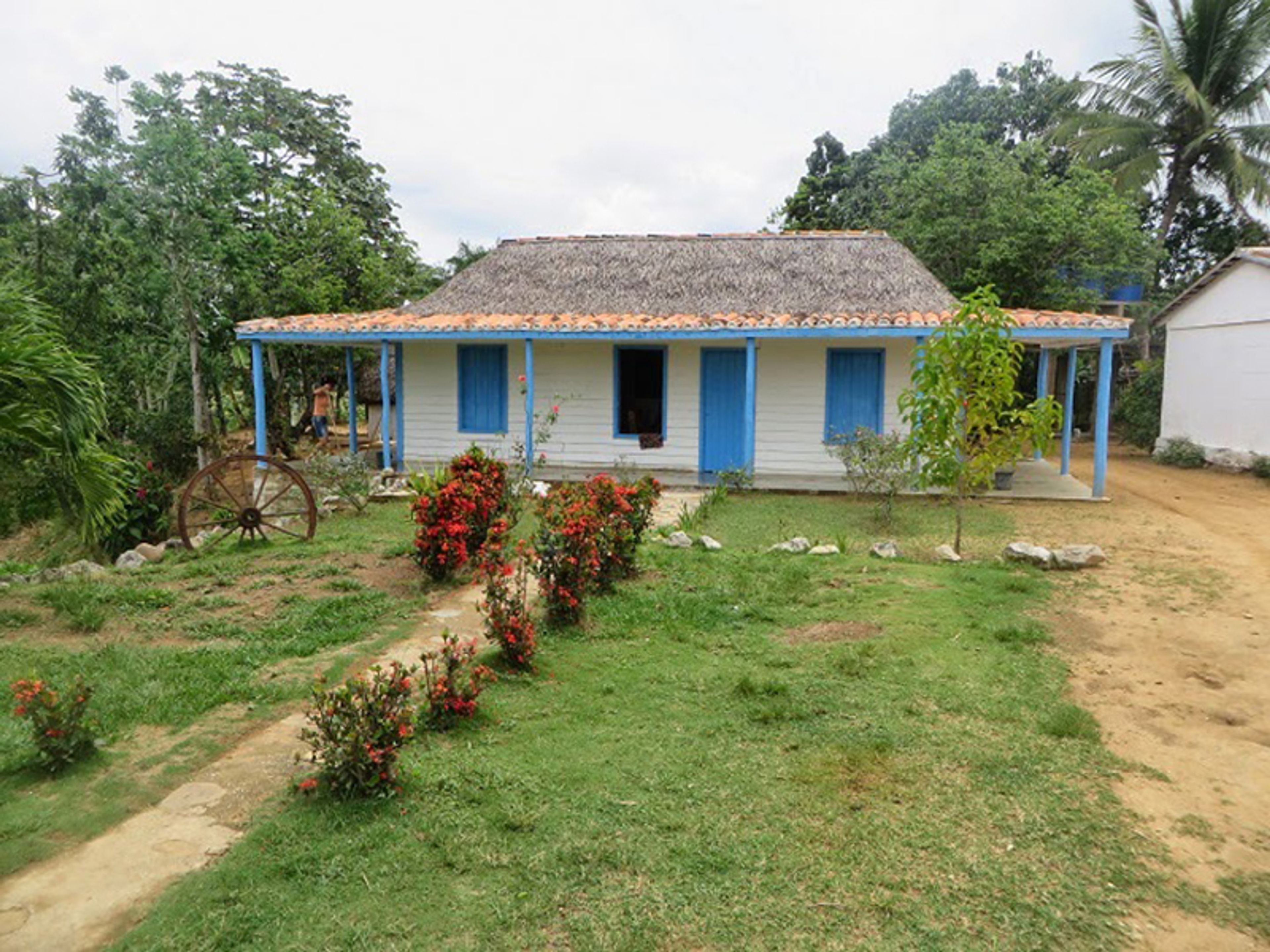 "Tour notturno di Pinar del Río". A traditional tobacco Hector Luis farm, the cultivation of the leaves, San Juan Martinez valley, Pinar del Río “Pinar del Río Overnight” Tour