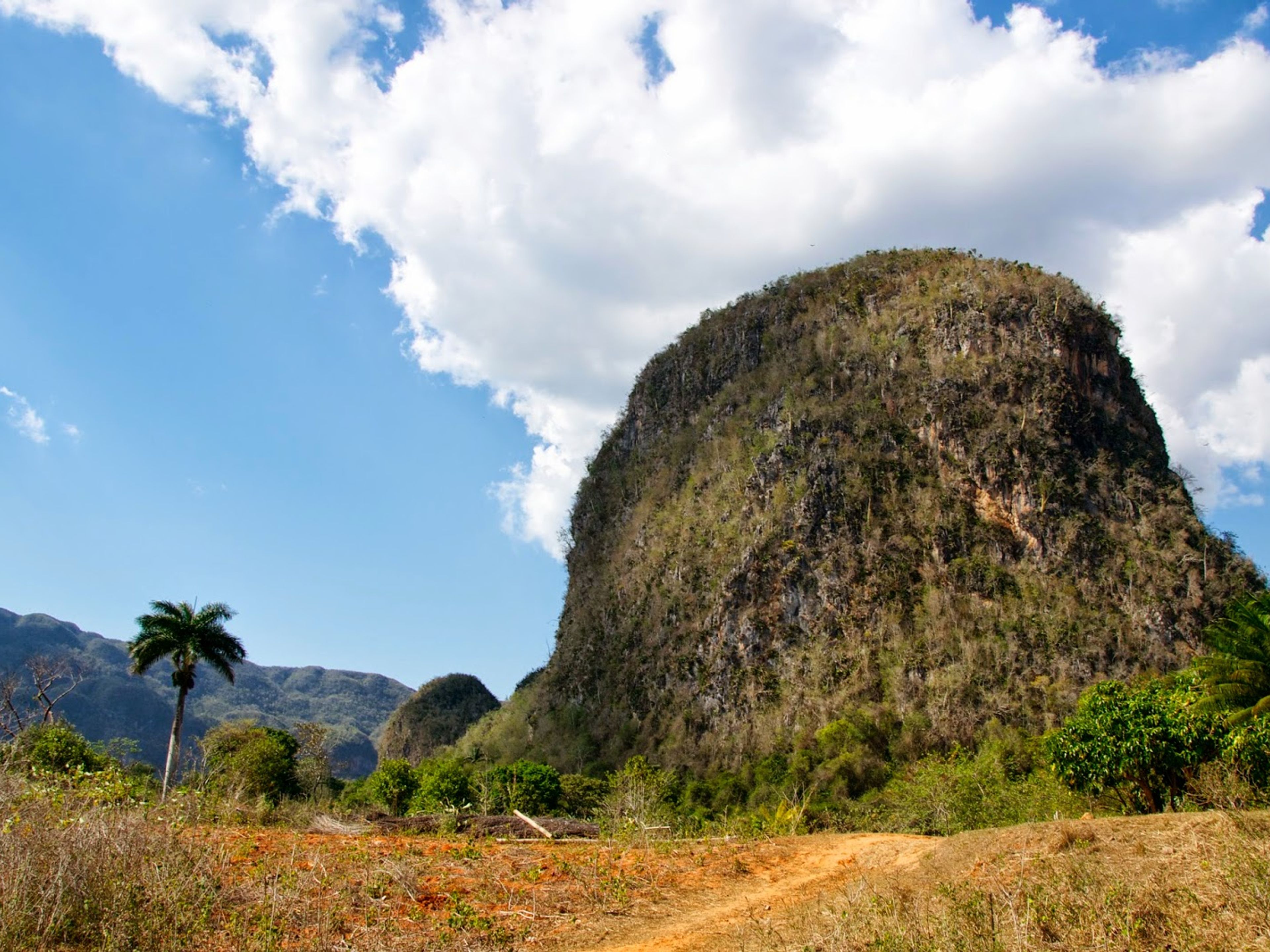 "Tour notturno di Pinar del Río"