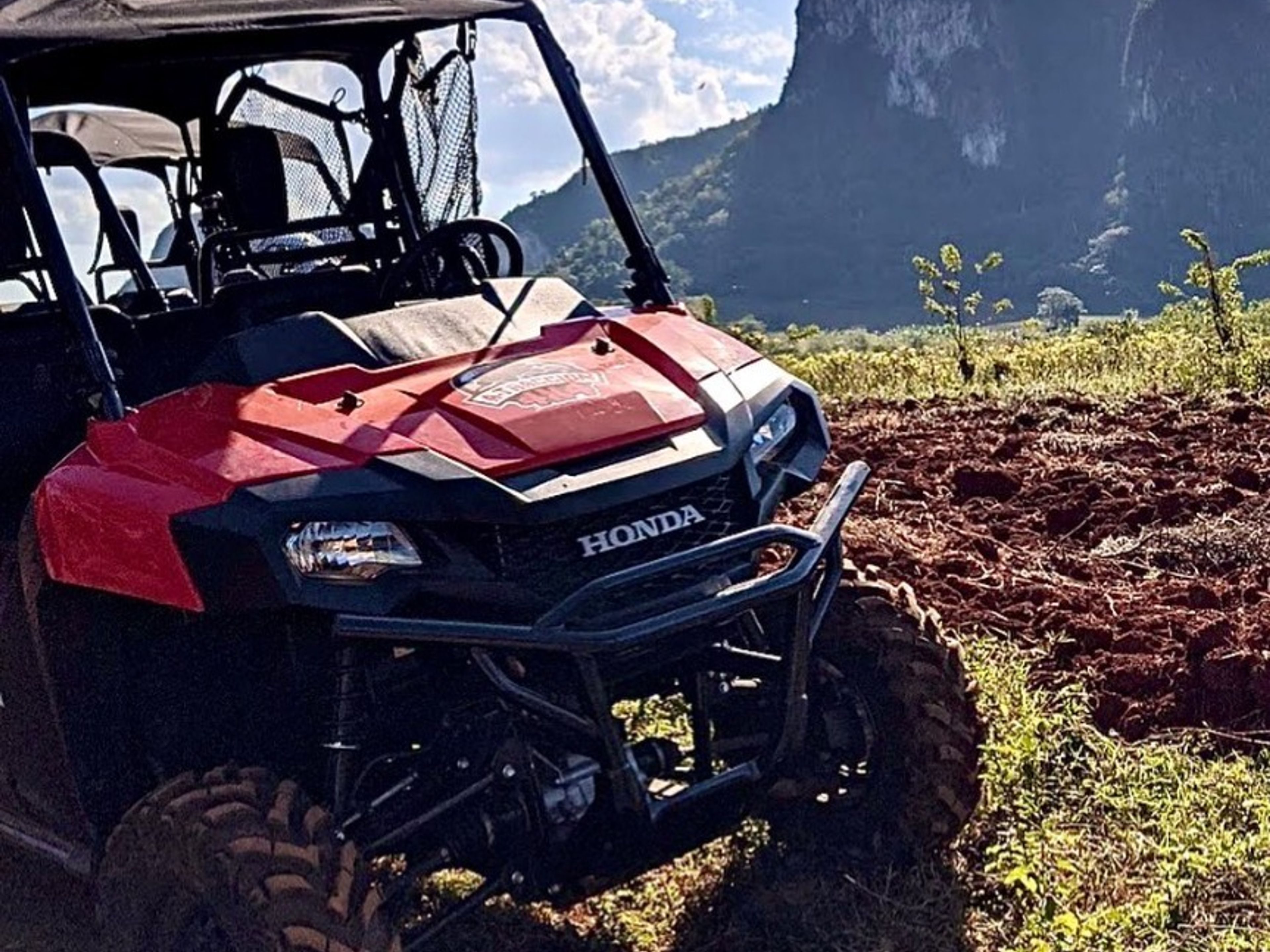 Excursão “PASSEIOS DE BUGGY: PASSEIO POR VIÑALES”