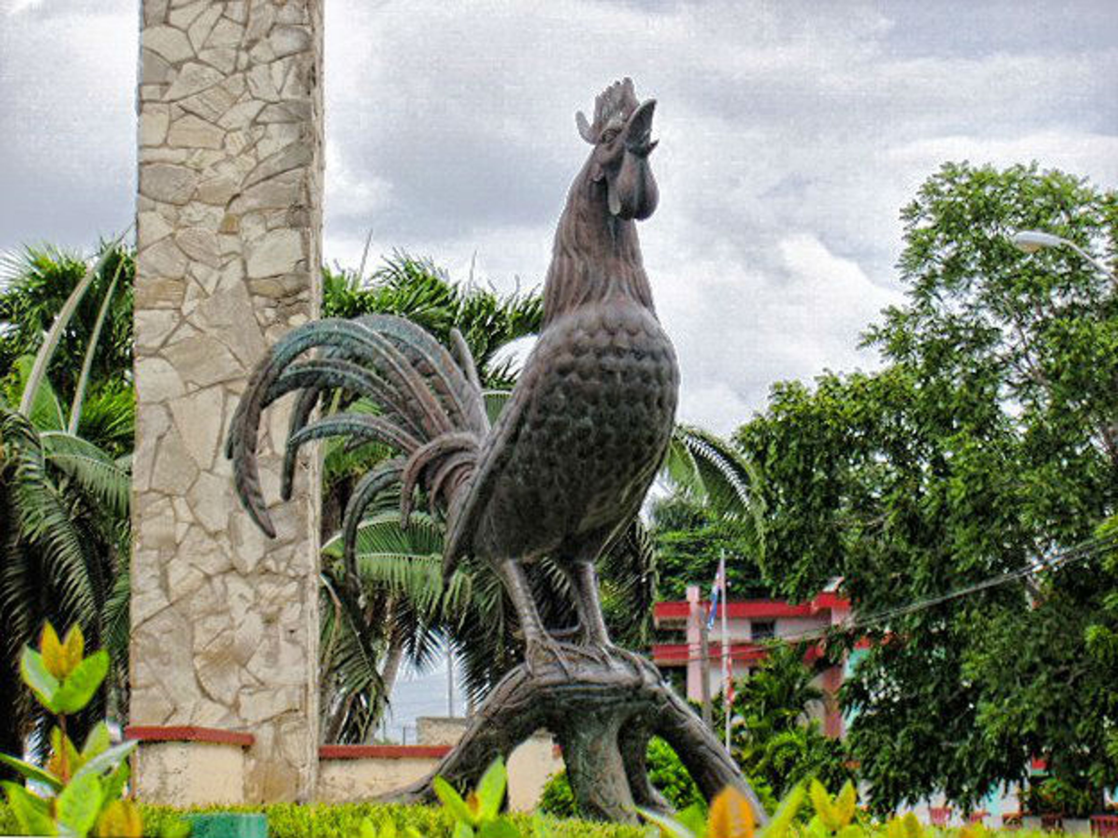 Tour "CIEGO DE ÁVILA, SPECTACULAIRE". Gallo de Morón Sculpture, Ciego Ávila, Spectacular Tour