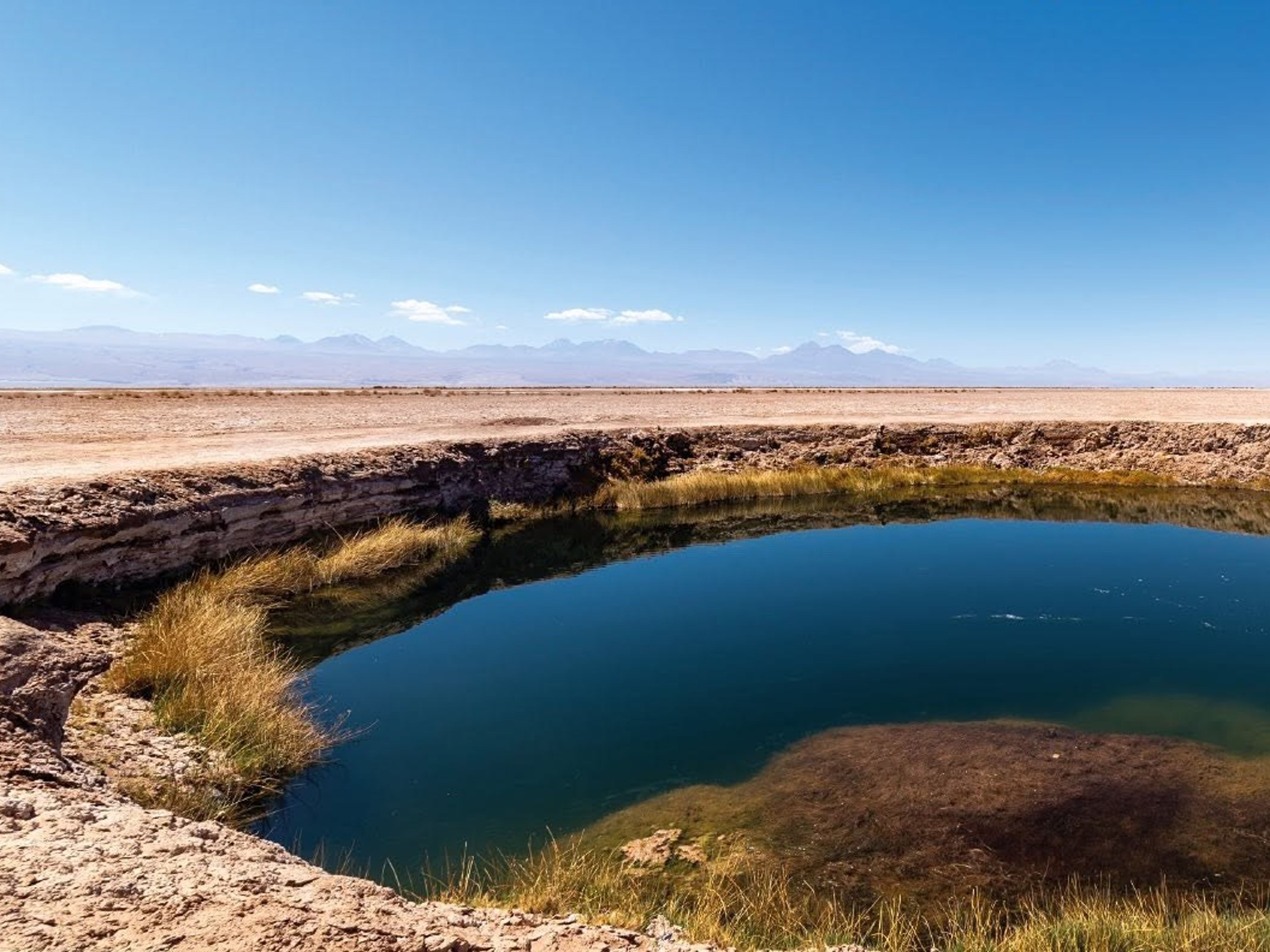 "HALBTAGESAUSFLUG CEJAR-LAGUNE, TEBENQUINCHE & OJOS DEL SALAR" Tour. CEJAR LAGOON, TEBENQUINCHE & OJOS DEL SALAR" Tour, San pedro de Atacama, Chile. 