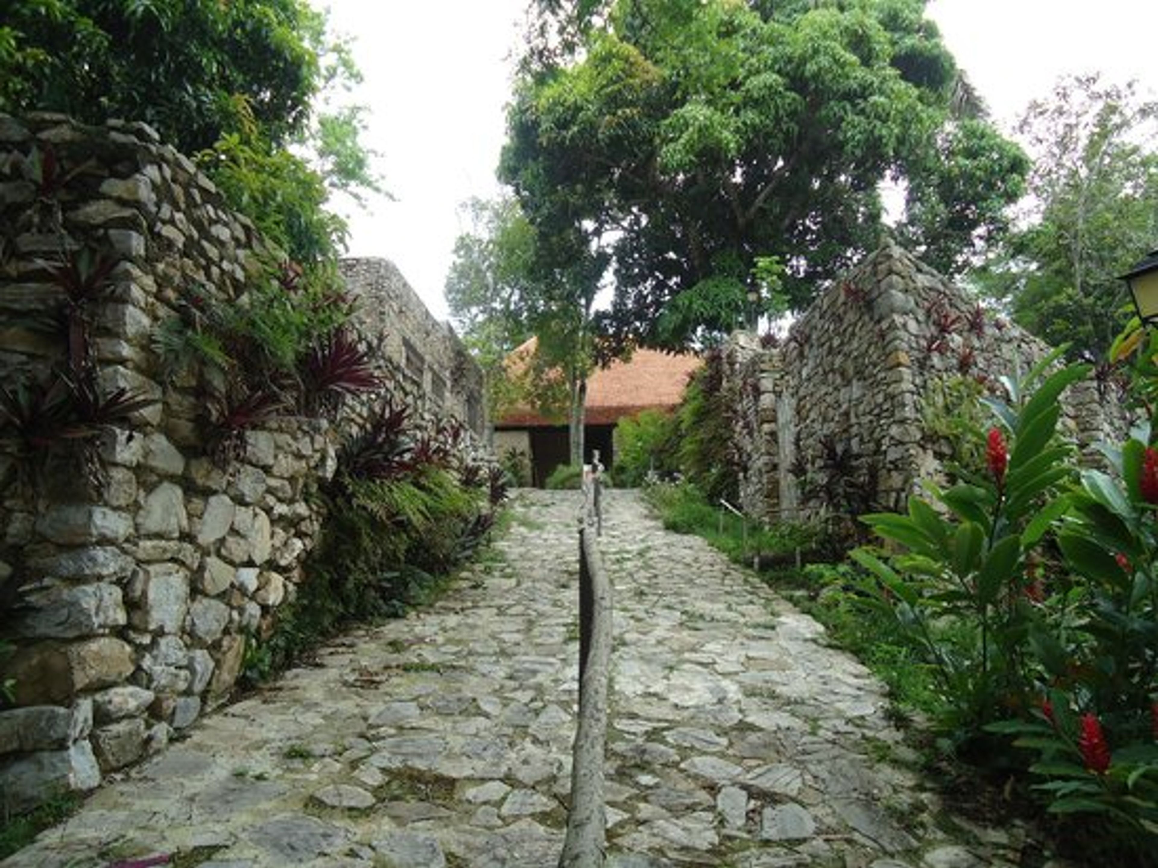 Excursão "Sendero Las Delicias". Buenavista coffee plantation ruins, Las Delicias Trail tour, Las Terrazas