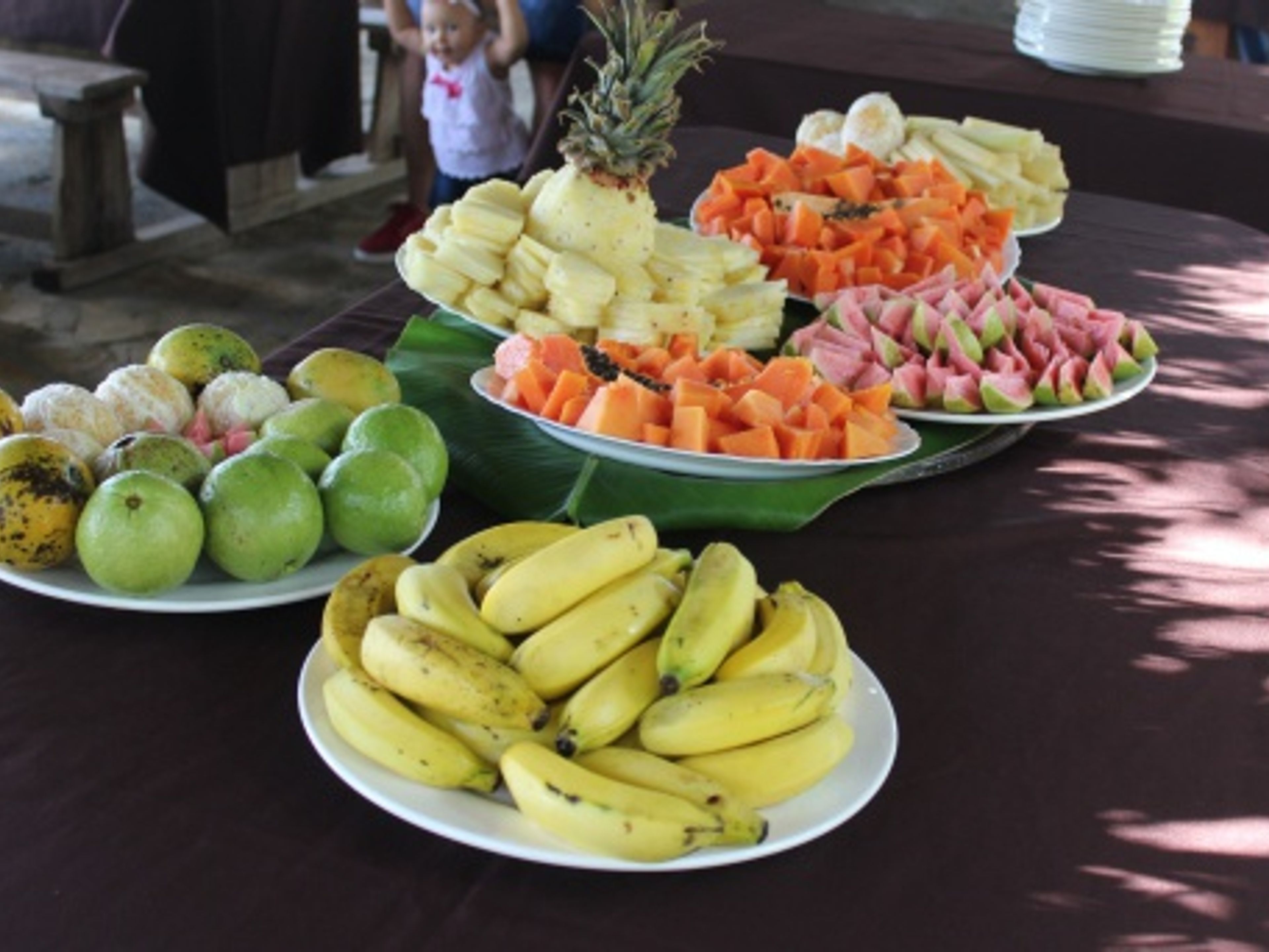 Tour "LA HAVANE, UNE VILLE VERTE". Organic lunch, Tour "Havana also green"