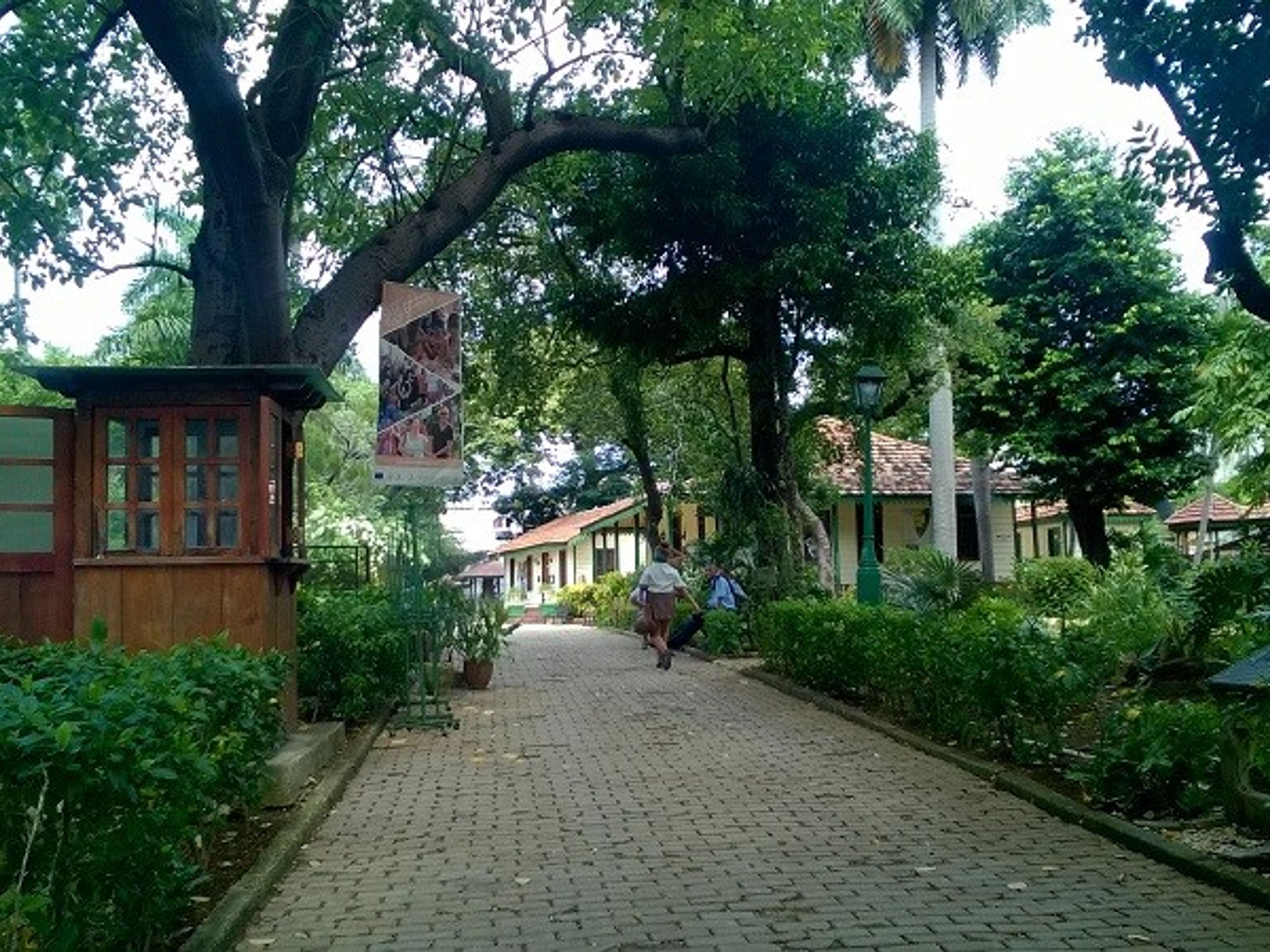 Tour "LA HAVANE, UNE VILLE VERTE". Quinta de Los Molinos, Tour "Havana also green"