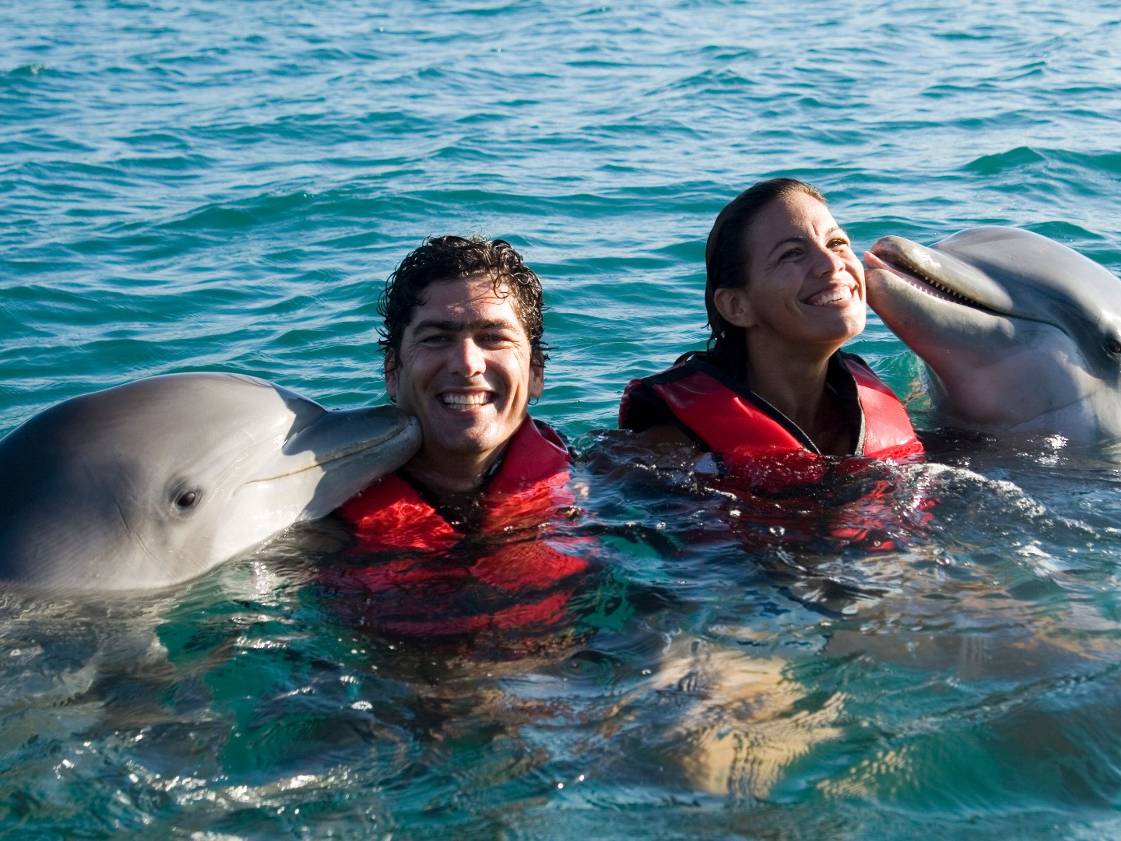 Excursão "NATAÇÃO ESPECIALIZADA COM GOLFINHOS NA BAHIA DE NARANJO". Swimming with dolphins tour at Bahía de Naranjo dolphinarium, Playa Esmeralda, Holguín, Cuba.