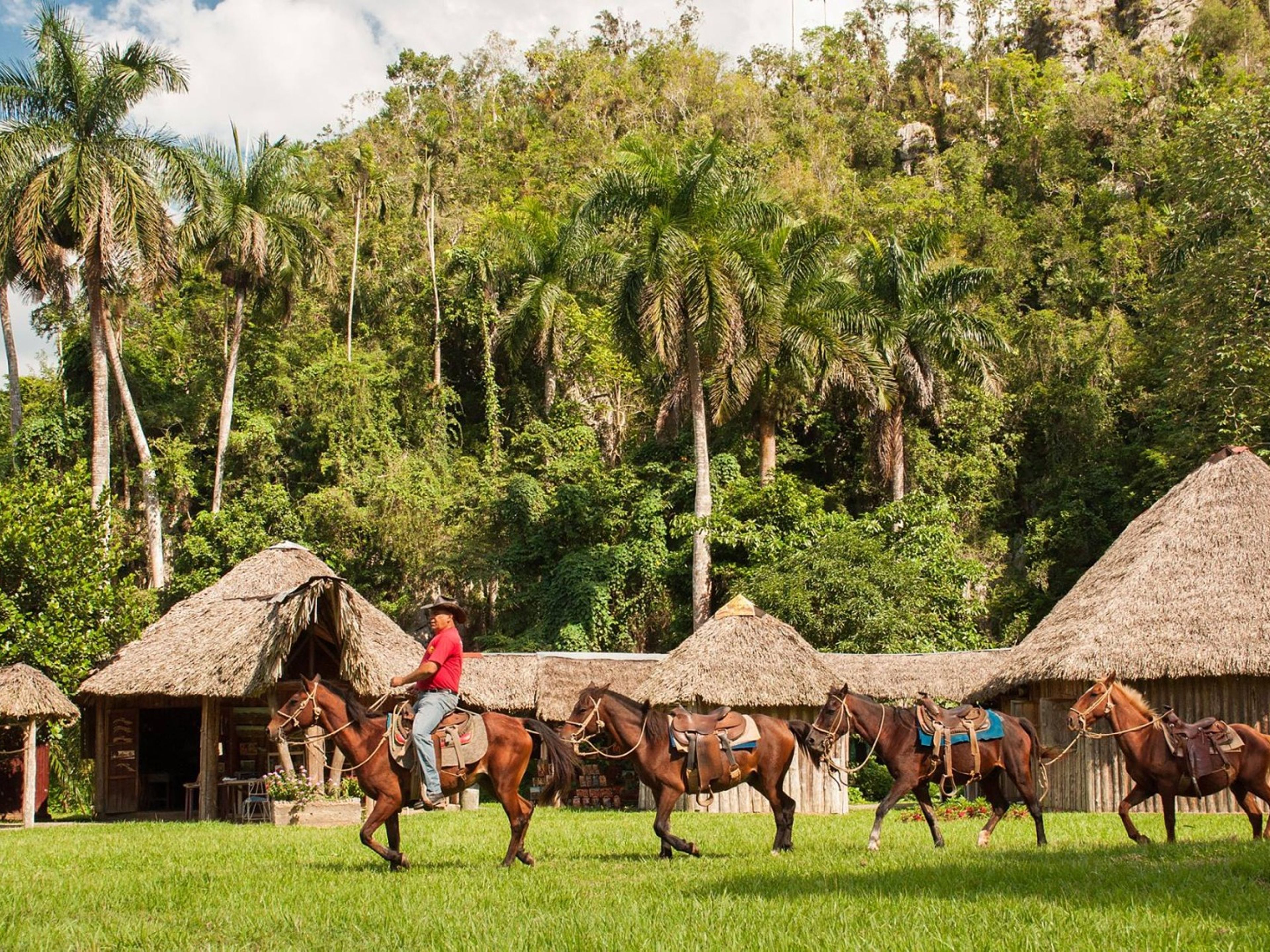 “A DAY IN VIÑALES“ Tour. null