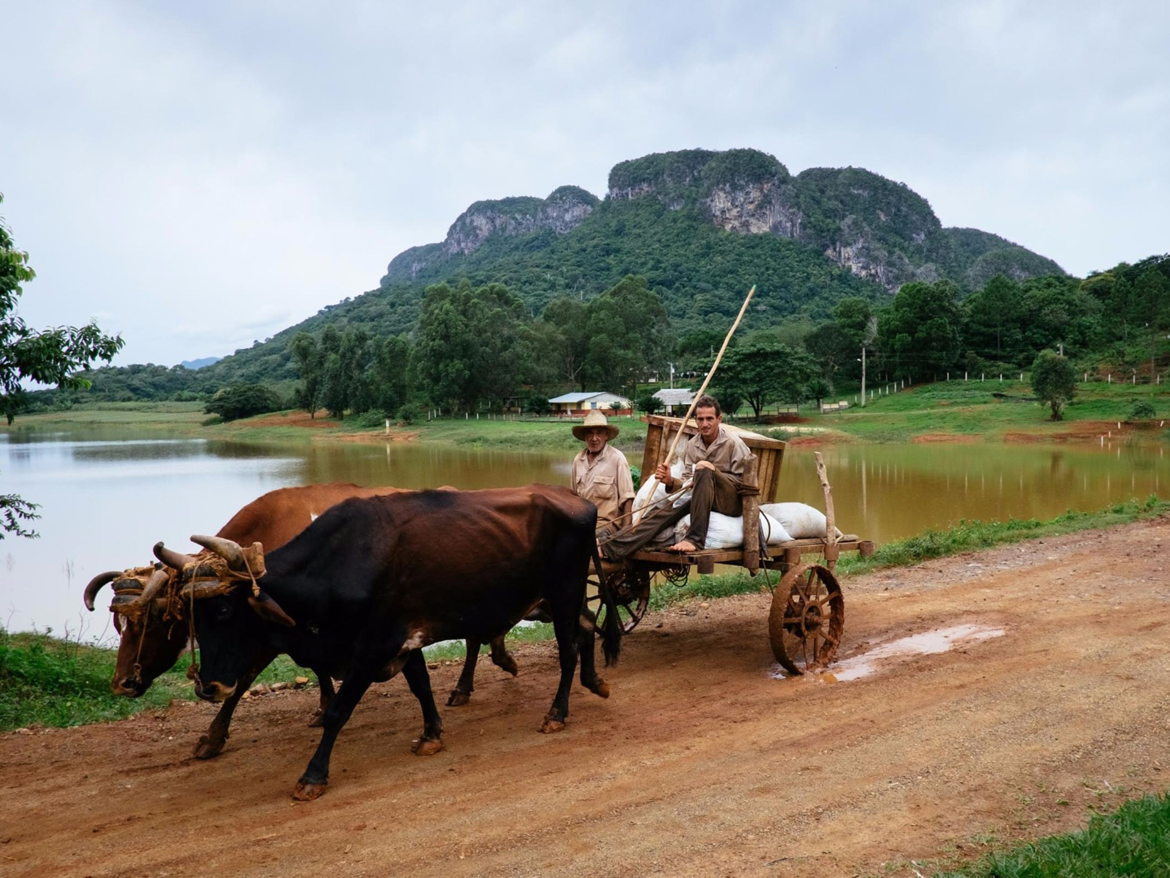 Excursão privada de um dia “Havana - Viñales 1”