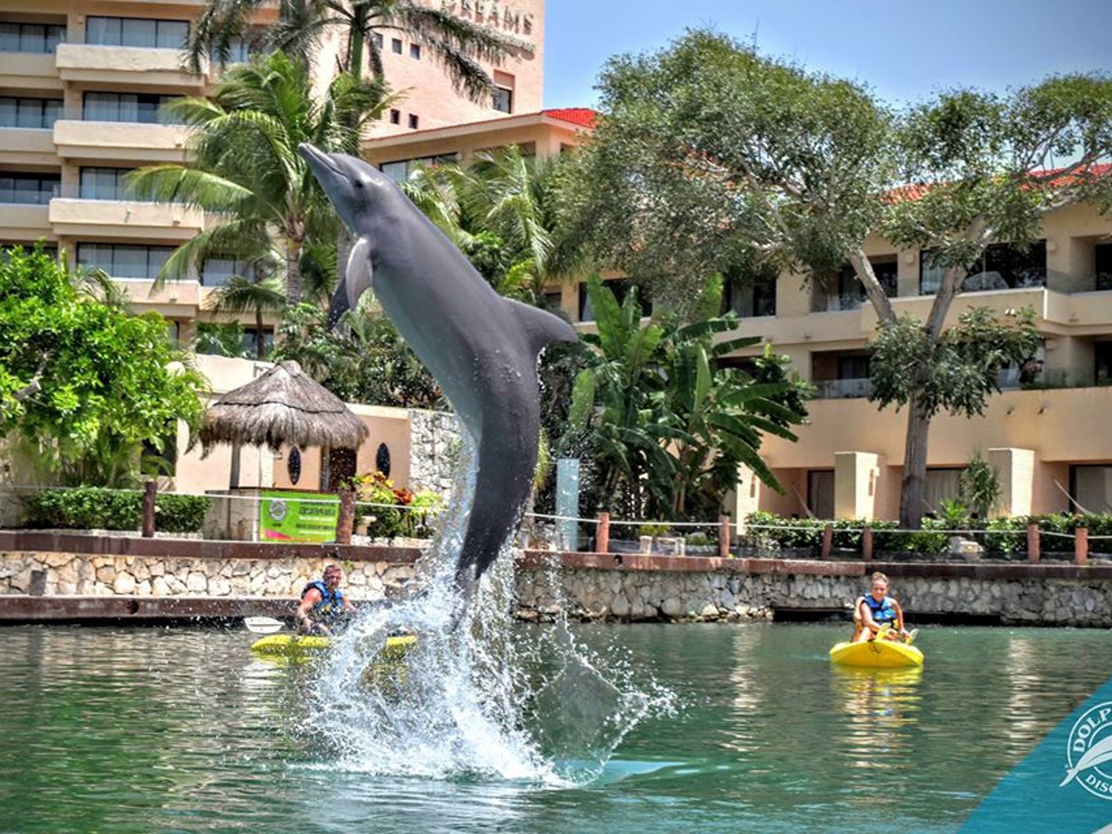 "Tulum + Swim Adventure Excursión en Riviera Maya". Dolphin Discovery Puerto Aventuras, enjoy the experience in Yucatan Peninsula. Mexico.