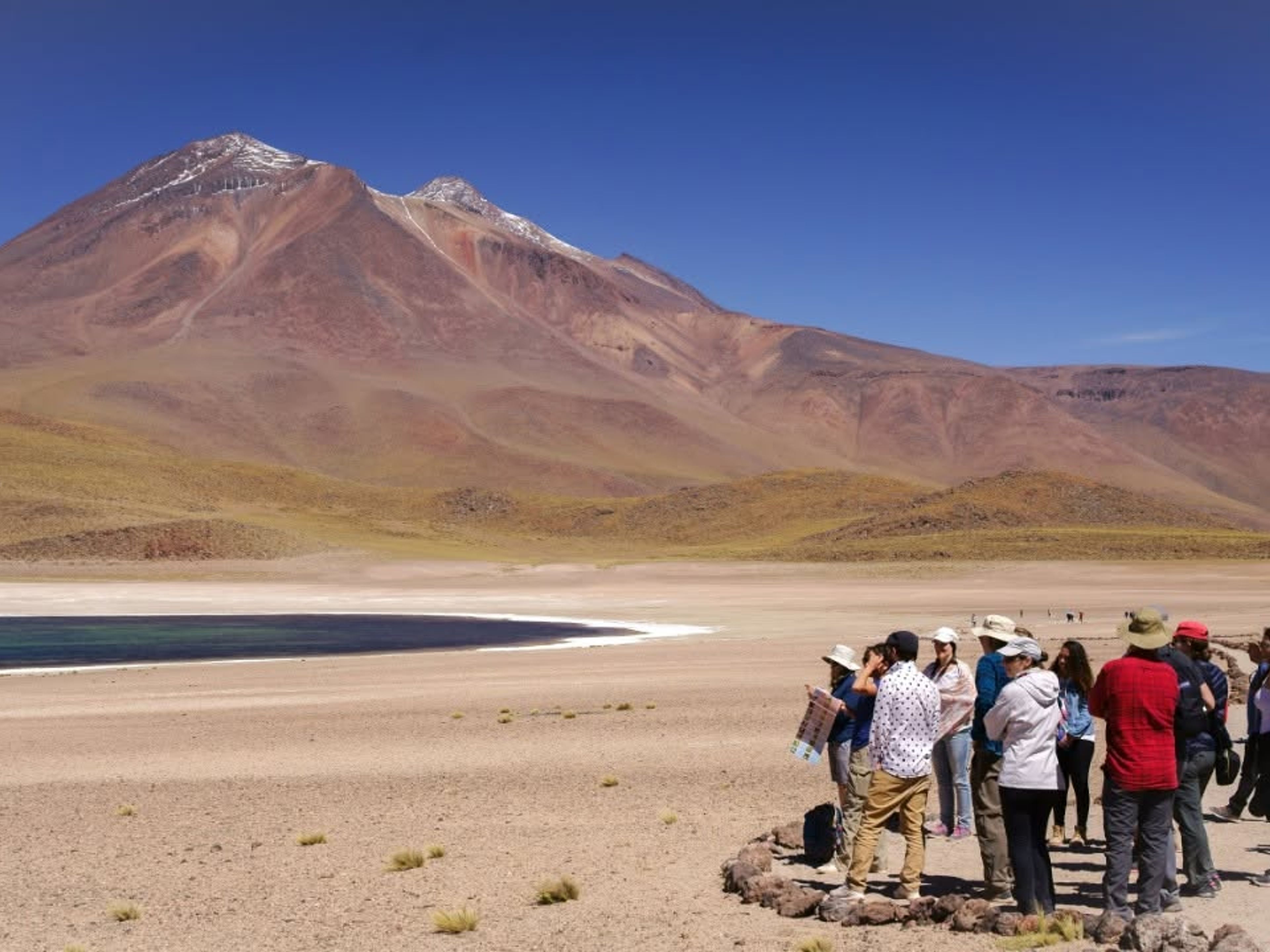 "FULL DAY PIEDRAS ROJAS (RED STONES) & ALTIPLANIC LAGOONS" Tour. "FULL DAY PIEDRAS ROJAS (RED STONES) & ALTIPLANIC LAGOONS" Tour, San Pedro de Atacama, Chile.