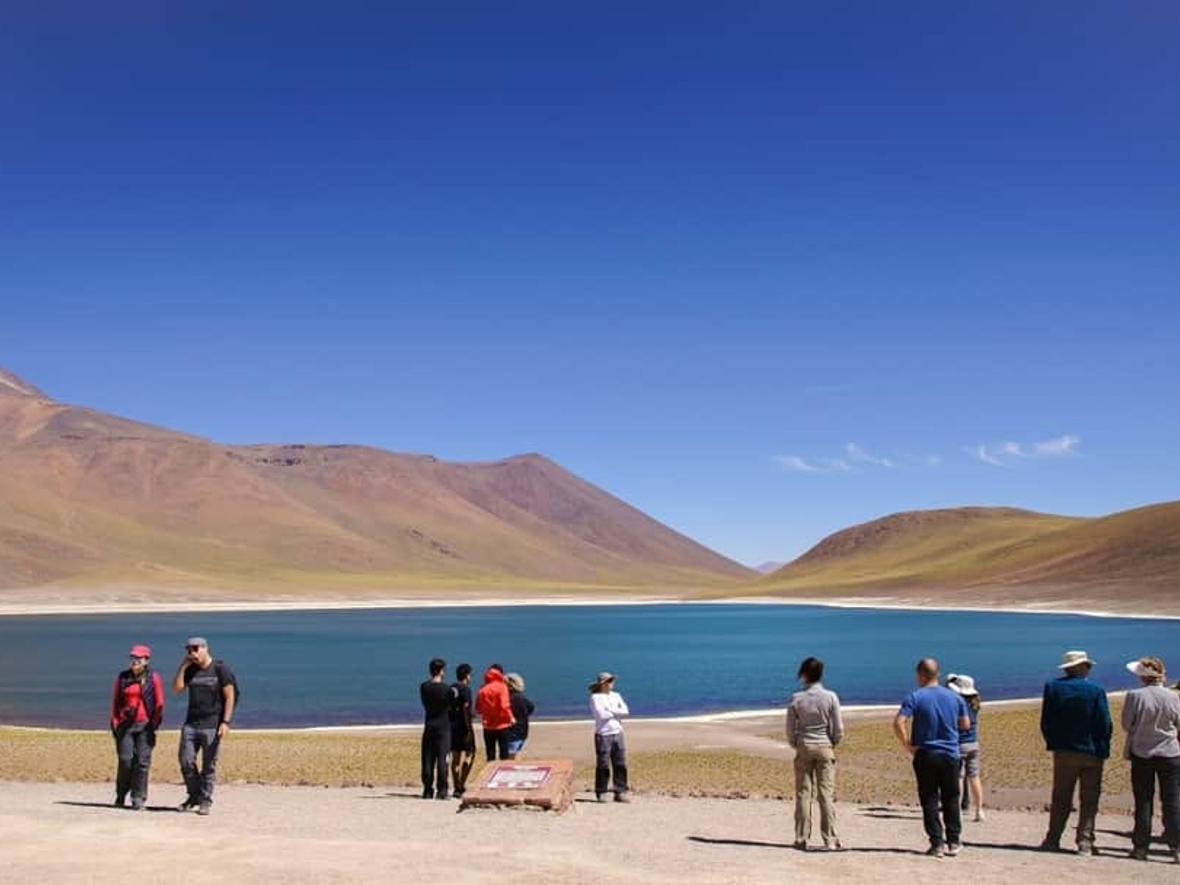 "FULL DAY PIEDRAS ROJAS (RED STONES) & ALTIPLANIC LAGOONS" Tour