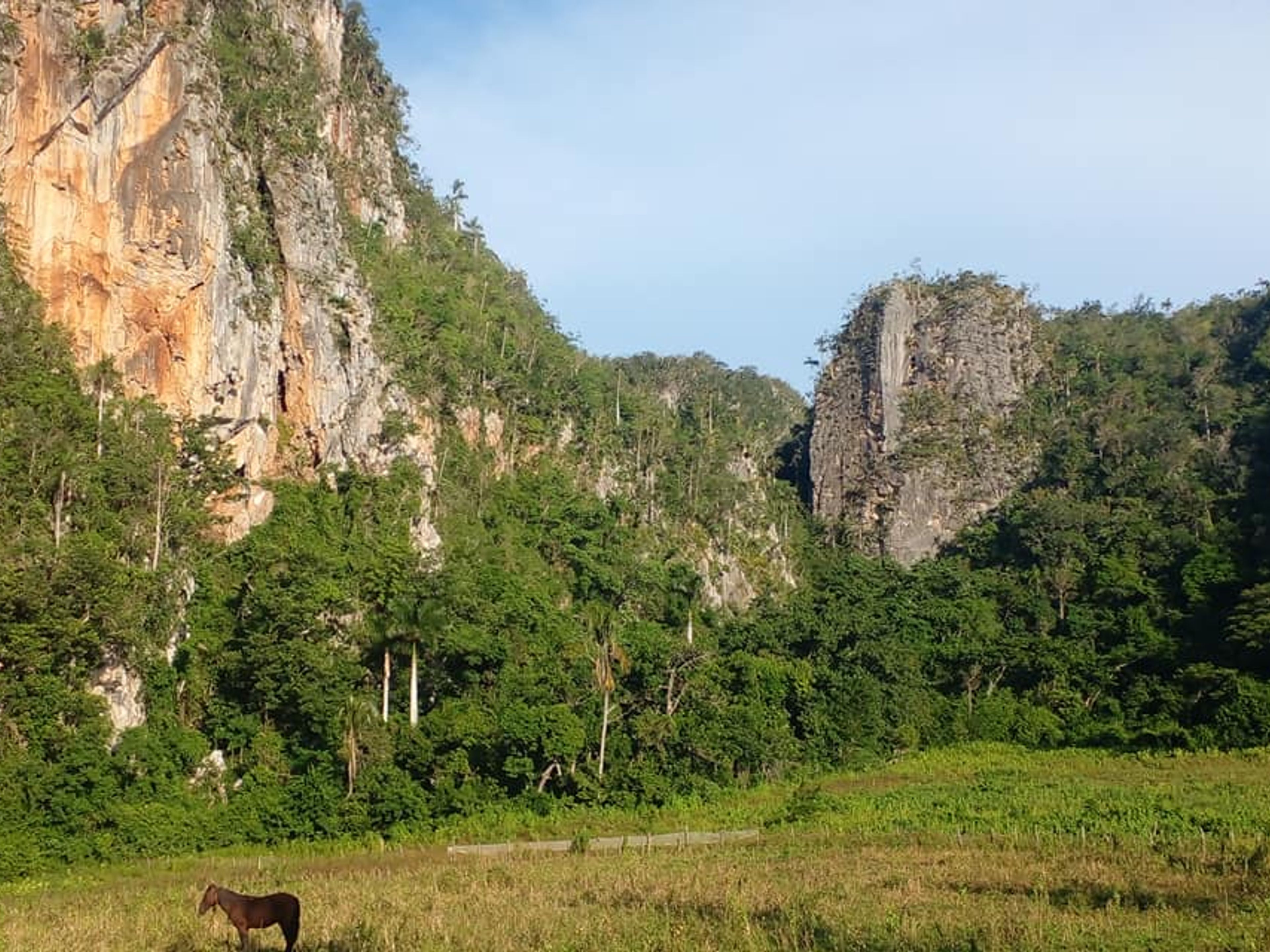 "TREKKING INS PALMARITO-TAL" Tour. The Palmarito Valley panoramic view, Viñales Valley, Pinar del Río, Cuba.