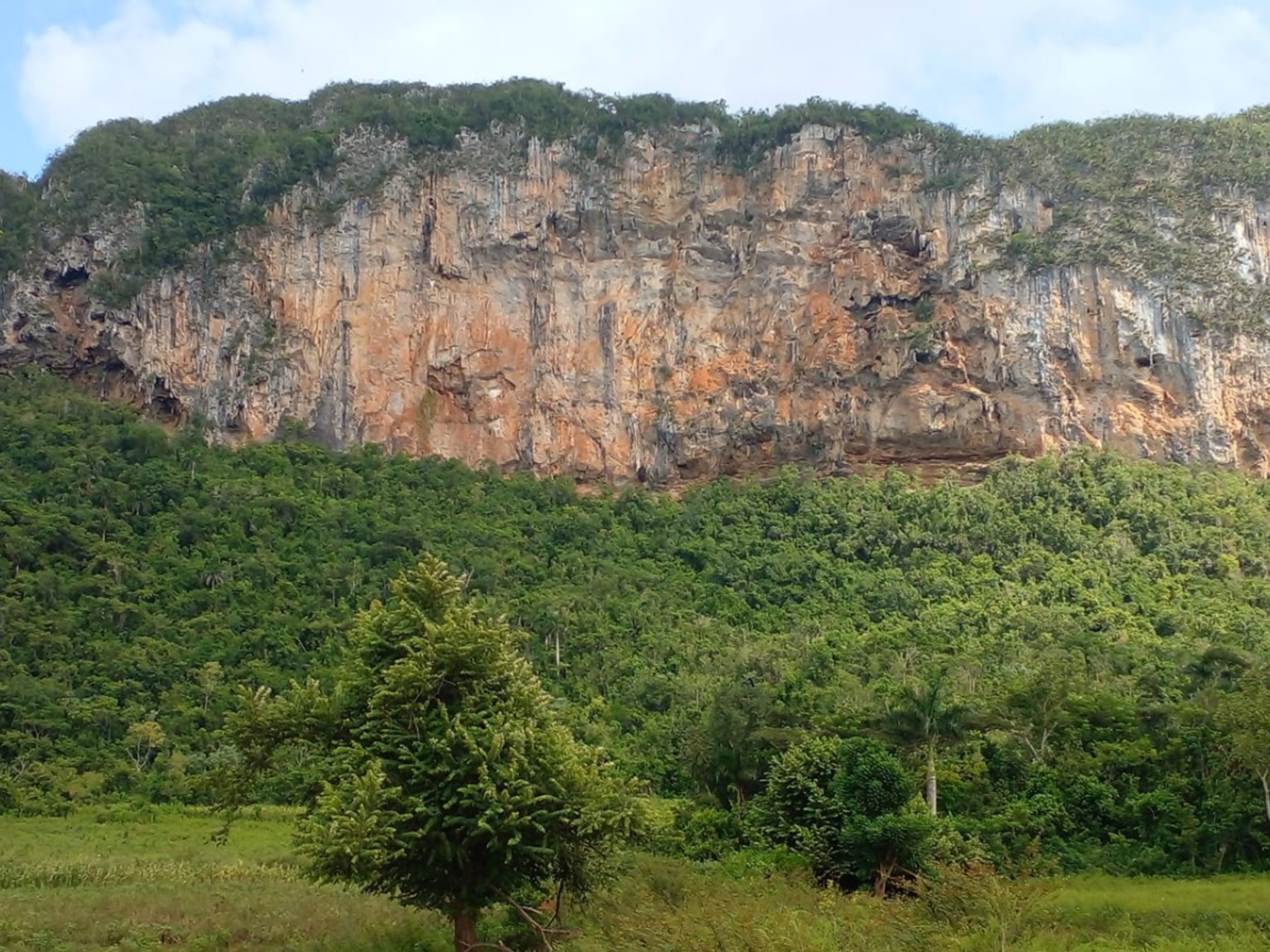 Excursión "TREKKING AL VALLE DE PALMARITO". The Palmarito Valley panoramic view, Viñales Valley, Pinar del Río, Cuba.