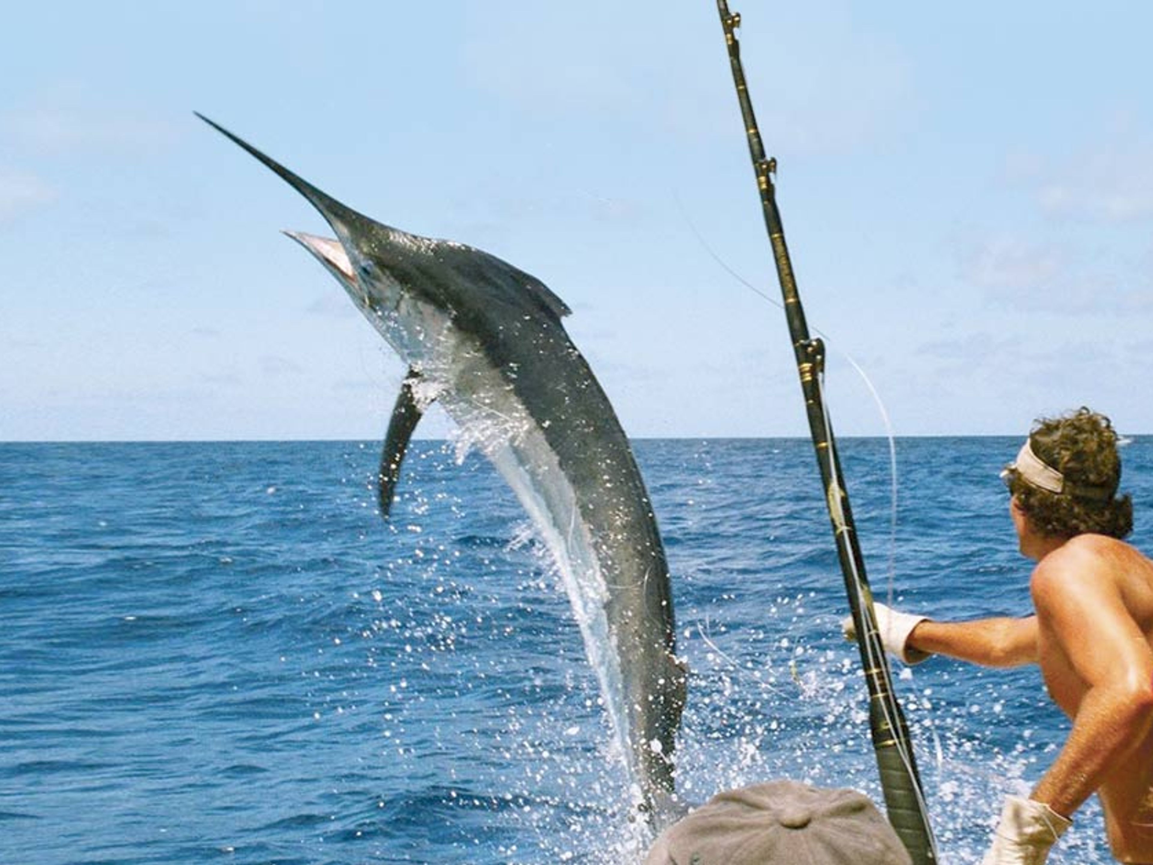 Excursión "Pesca de Altura en Marea del Portillo". “High Fishing in Marea del Portillo” Exclusive Tour