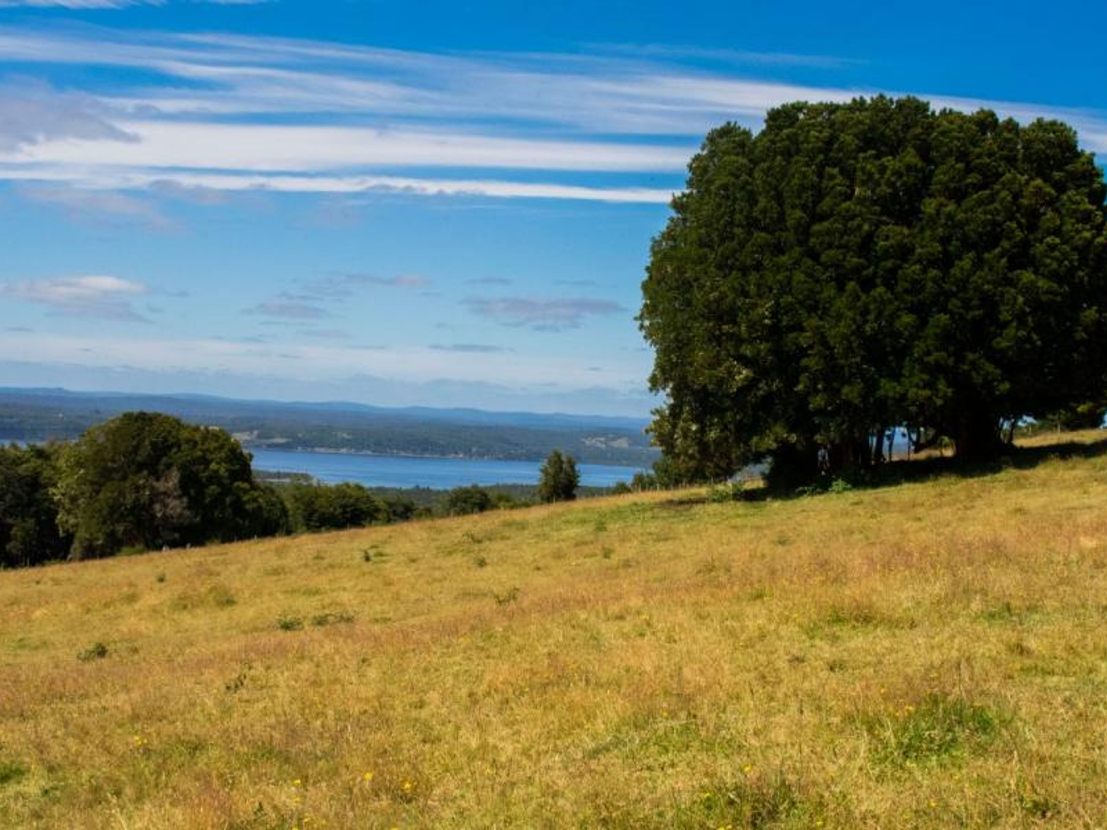 EXCURSIÓN “CAMINATA POR EL PARQUE NACIONAL CHILOE”.. null