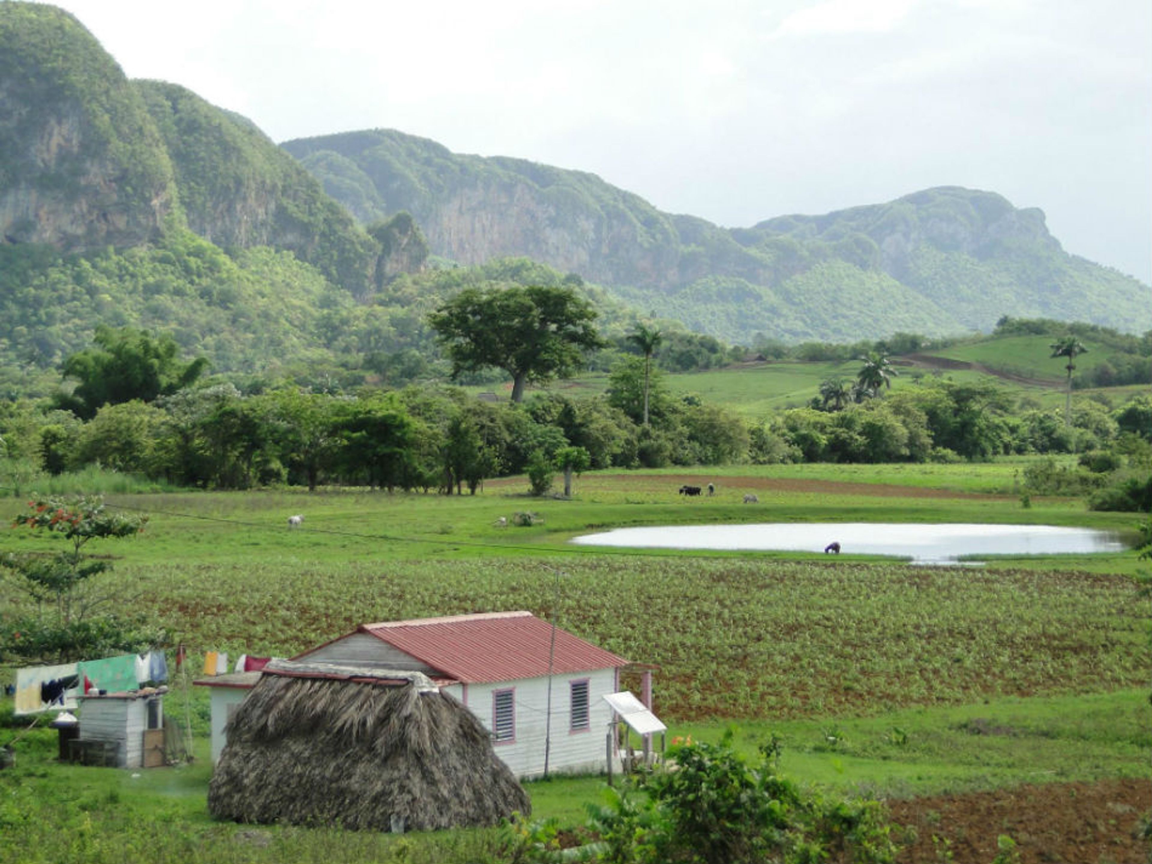 "Escursione a Los Acuáticos". Los Acuáticos community, Viñales valley National Park, Pinar del Río