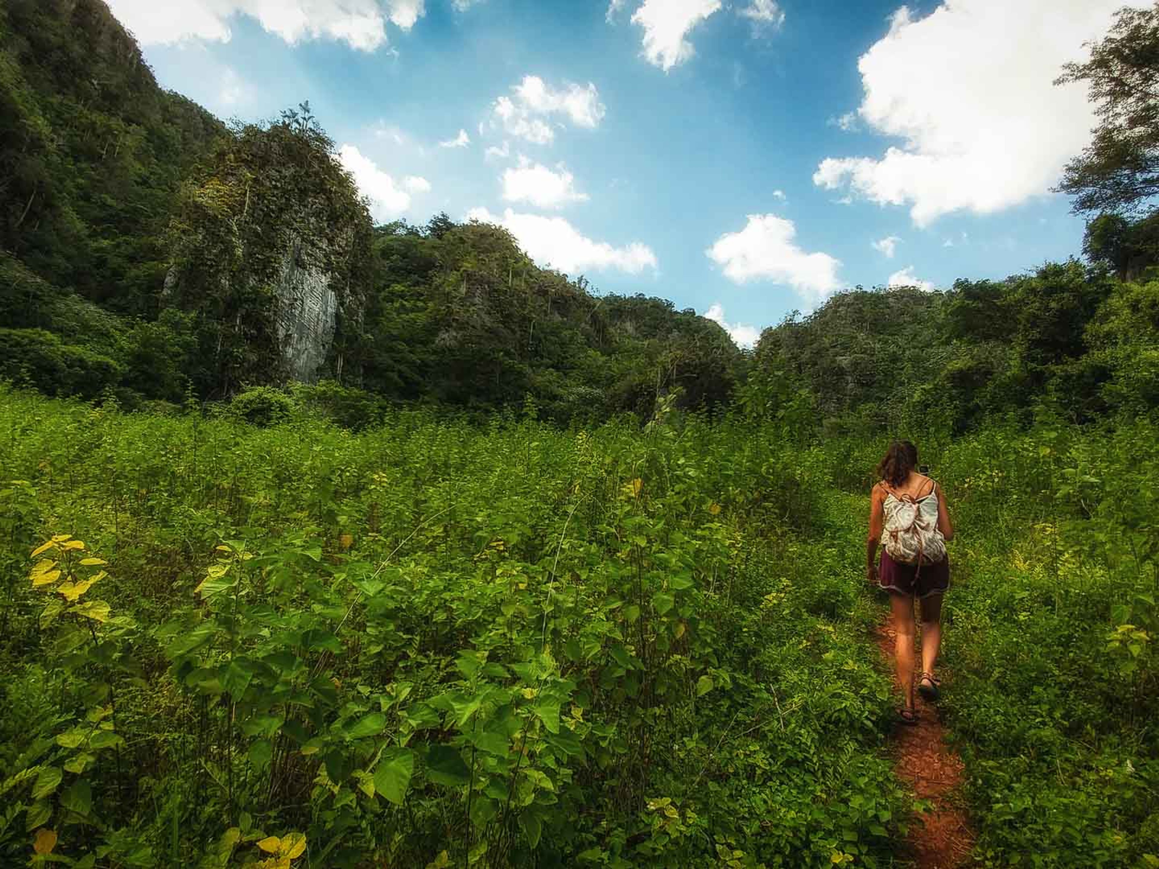 "Escursione a Los Acuáticos". Trekking tour To Los Acuáticos, Viñales valley National Park, declared a Cultural Heritage Site by UNESCO, Pinar del Río