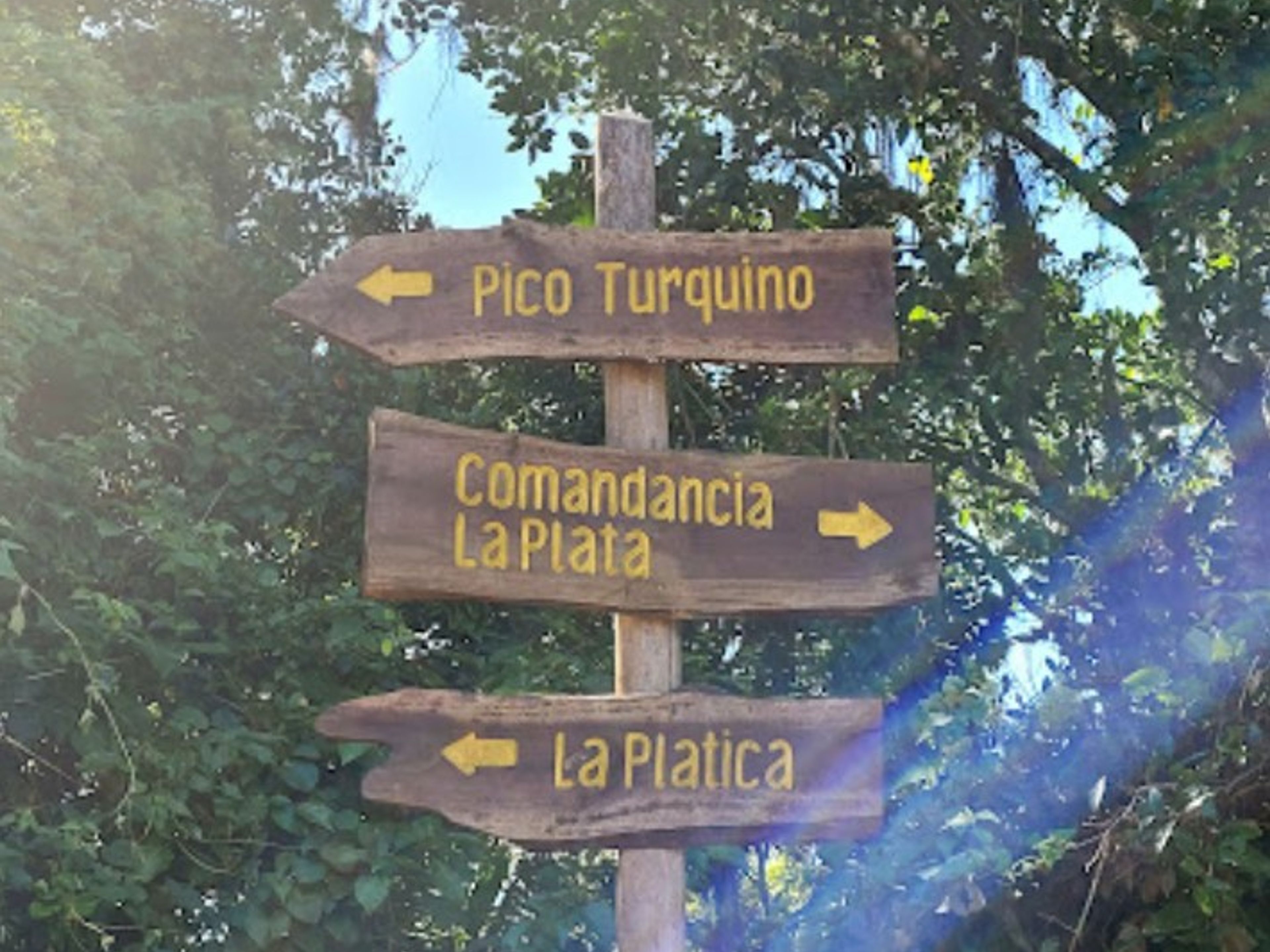 Excursión de Senderismo “COMANDANCIA LA PLATA + PICO REAL DEL TURQUINO (DESDE VILLA SANTO DOMINGO)” (3 días / 2 noches). Altos del Naranjo, Bartolomé Masó, Granma, Cuba
