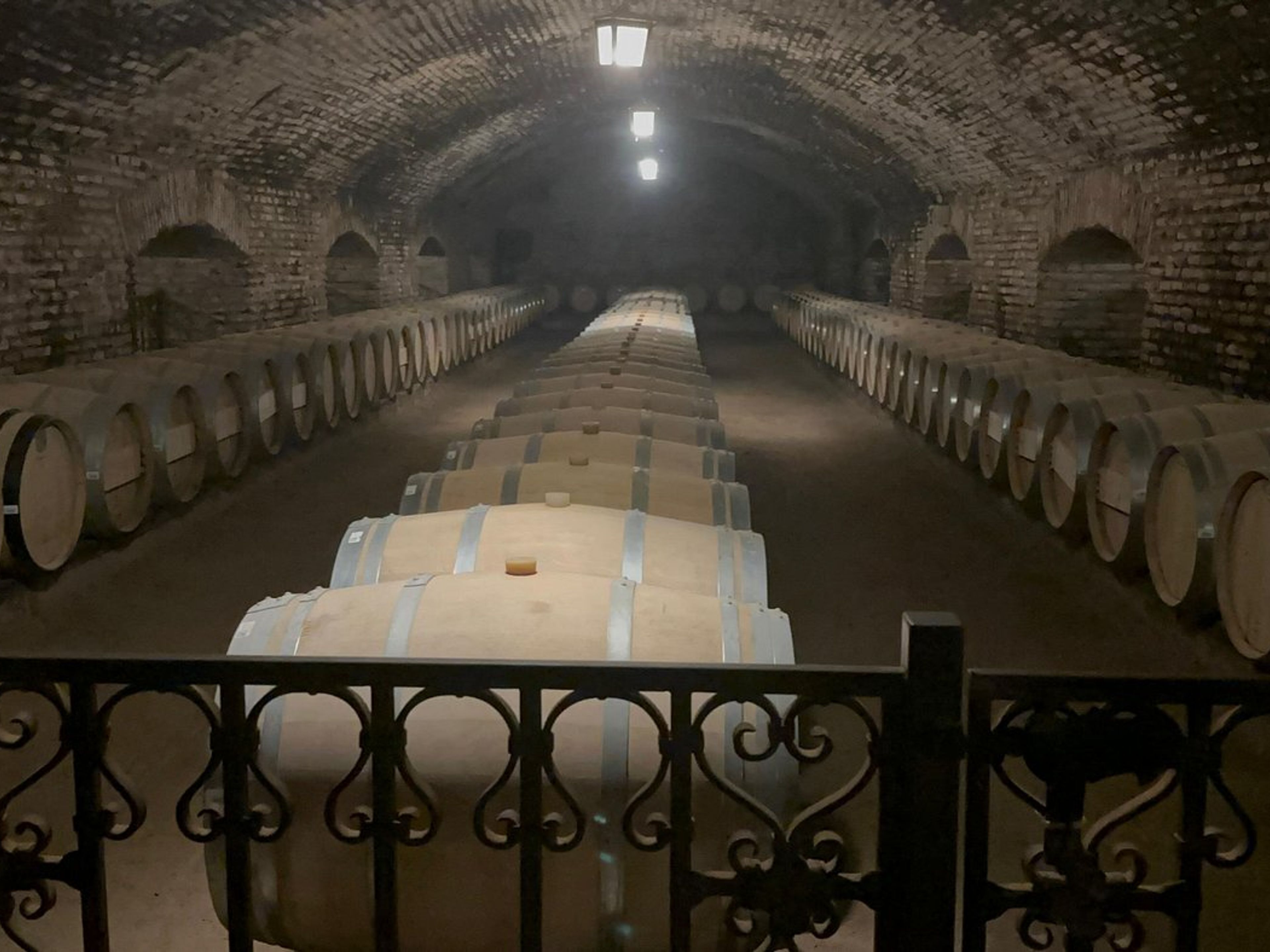 Tour “CELLIER CONCHA & TORO”. “CONCHA & TORO WINERY” Tour, Chile.