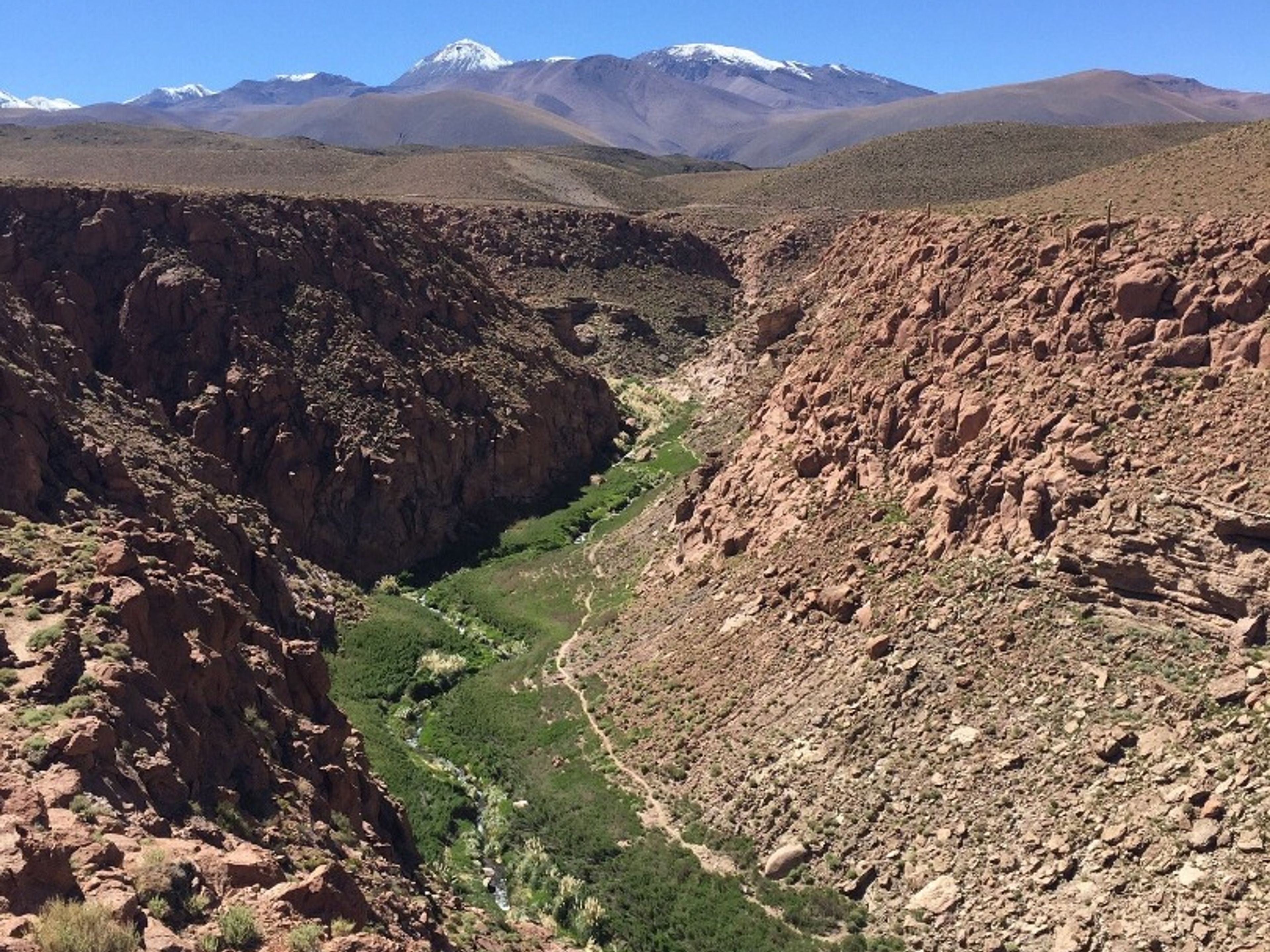 Excursão "TERMAS DE PURITAMA + APERITIVO". PURITAMA HOT SPRINGS panoramic view, San pedro de Atacama, Chile.