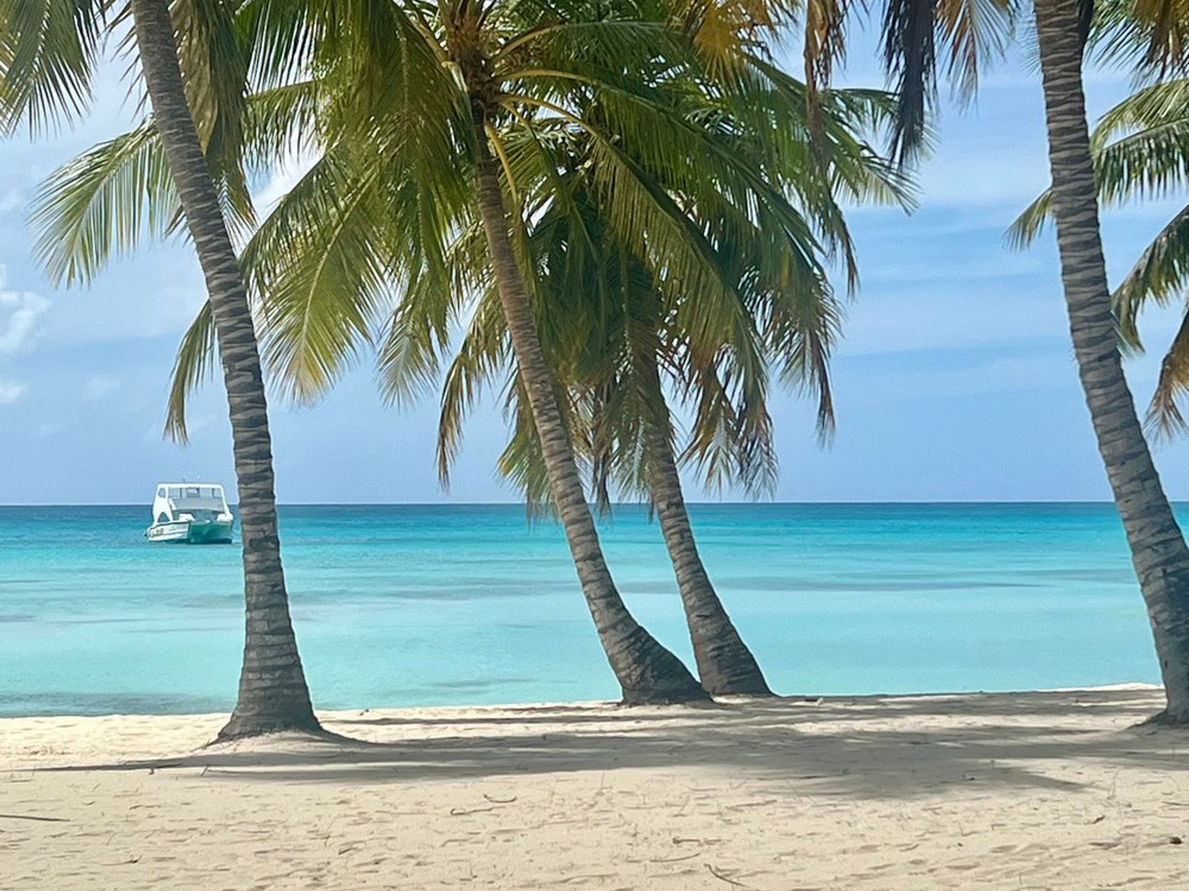 Tour “L'ÎLE DE SAONA - AVENTURE EN MOTO AQUATIQUE ET EN CATAMARAN”. Saona Island panoramic view, Domincan Republic. 