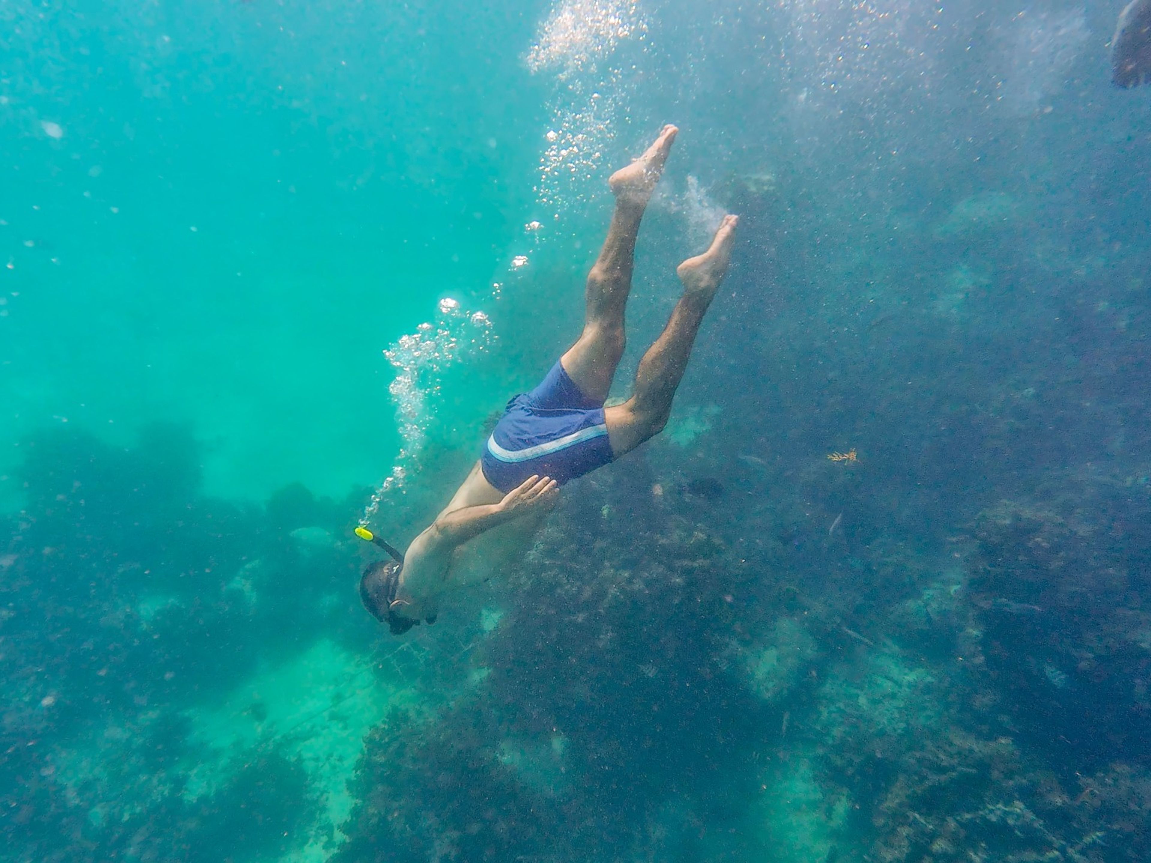 Tour “L'ÎLE DE SAONA - AVENTURE EN MOTO AQUATIQUE ET EN CATAMARAN”. Saona Island panoramic view, Domincan Republic. 