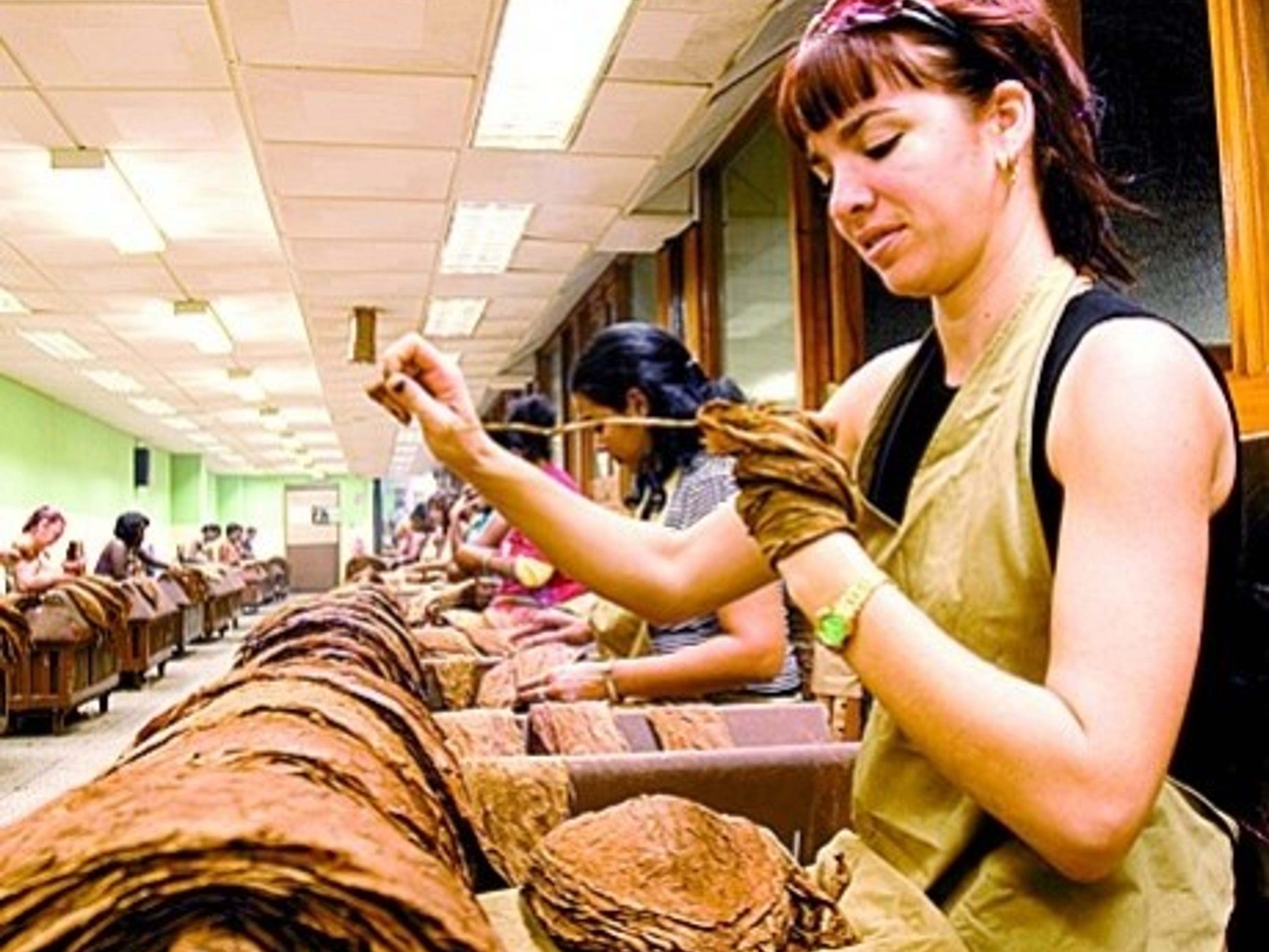 Excursión “MITOS, CULTURA Y TRADICIONES”