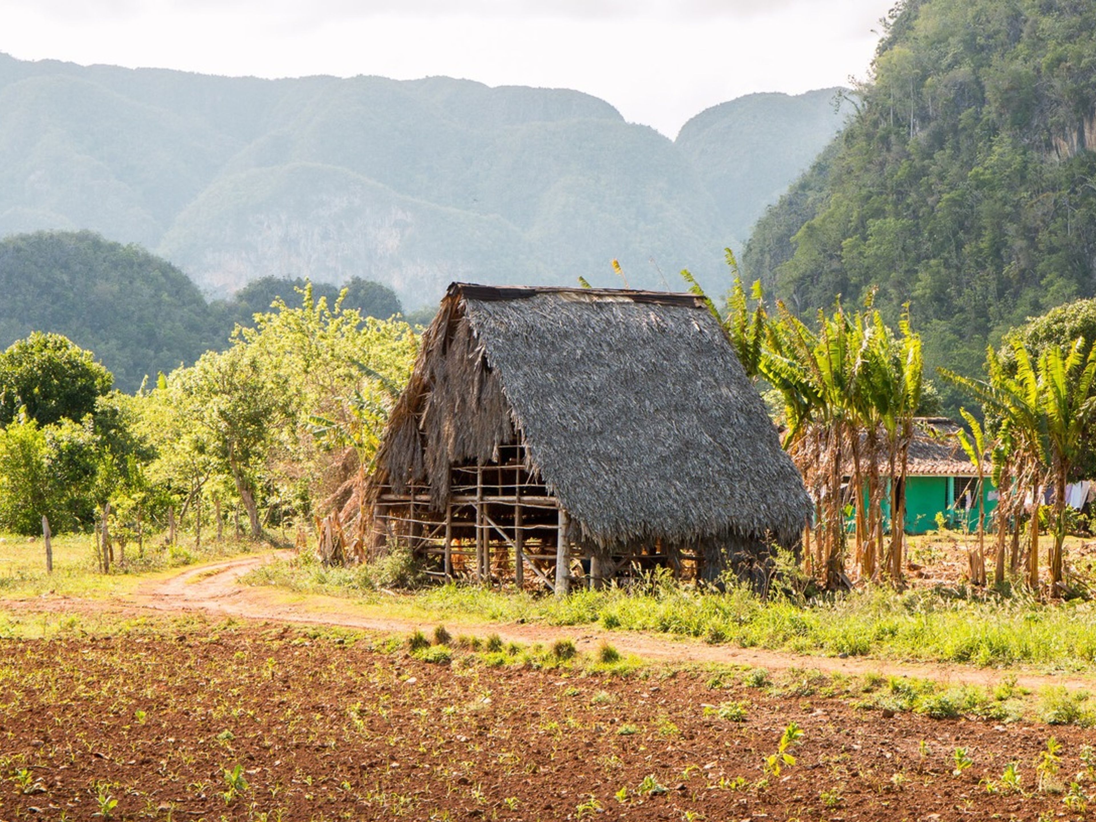 Tour "Tradition et Nature". Viñales valley National Park, declared a Cultural Heritage Site by UNESCO, Pinar del Río