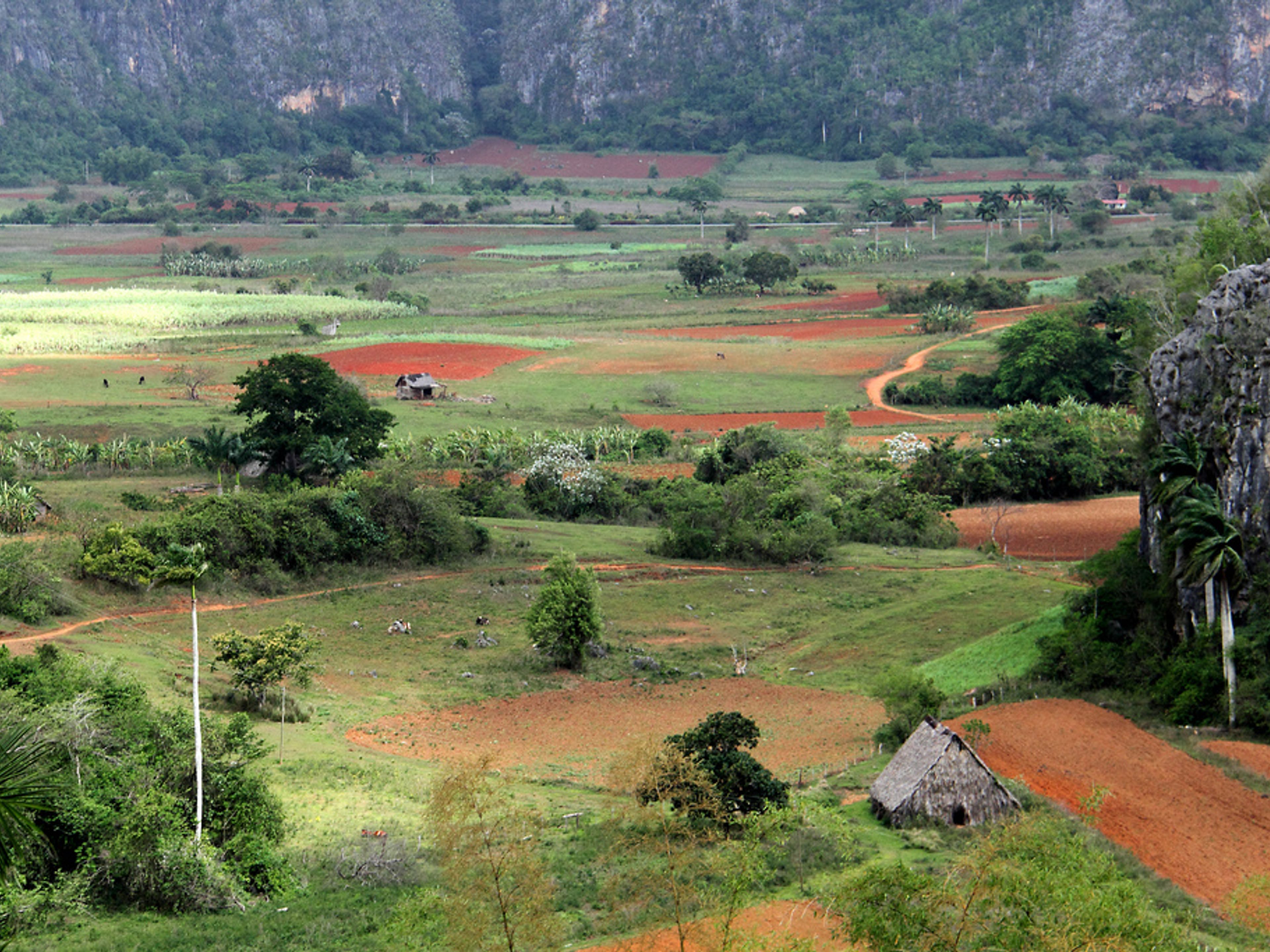 Tour "Le Tre Valli". Viñales valley National Park, declared a Cultural Heritage Site by UNESCO, Pinar del Río