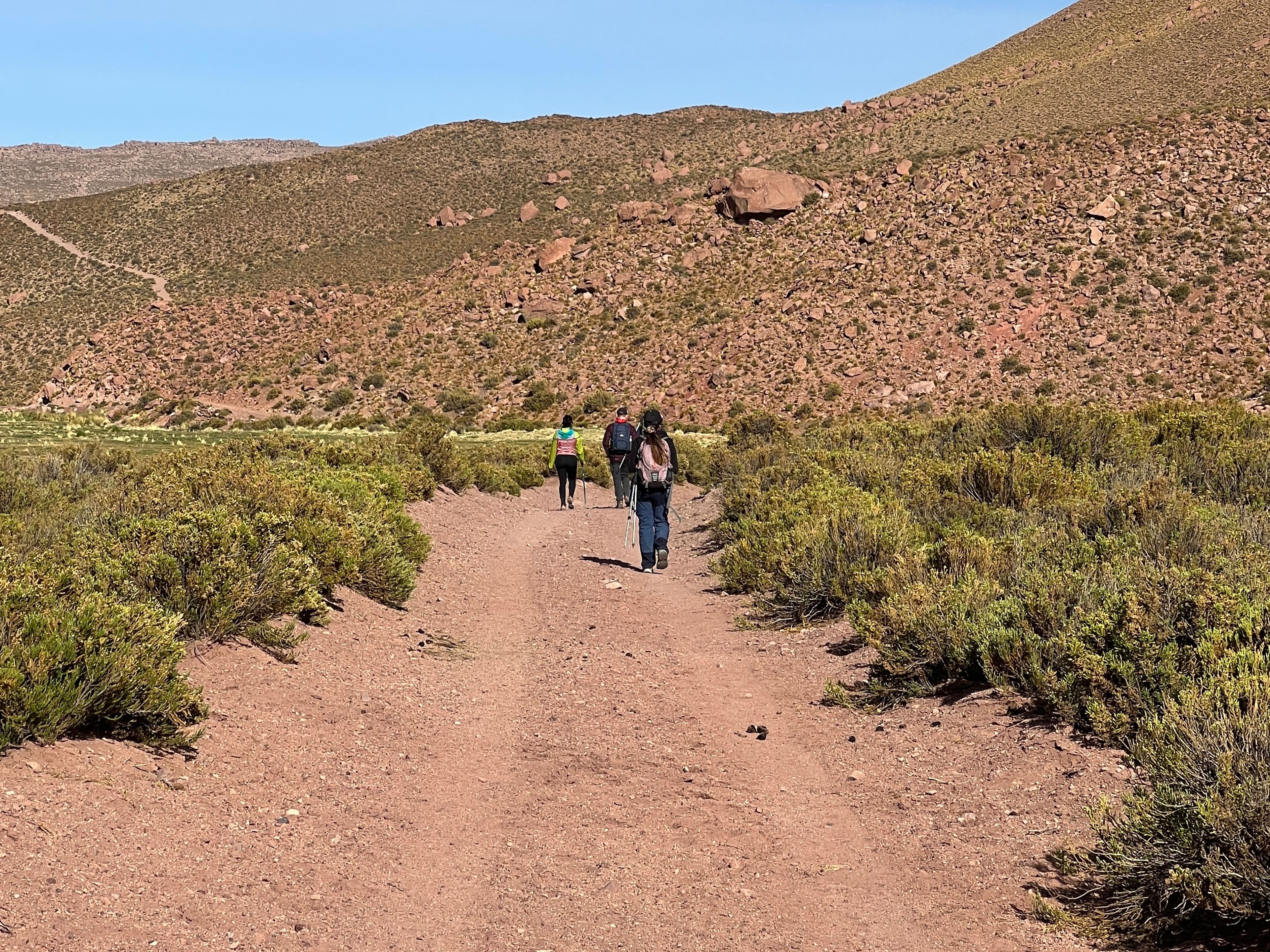 Tур ПРЕМИУМ "ТРЕККИНГ В МАЧУКУ – РИО-ГРАНДЕ". "TREKKING TO MACHUCA - RÍO GRANDE" PREMIUM Tour, San Pedro de Atacama, Chile. 