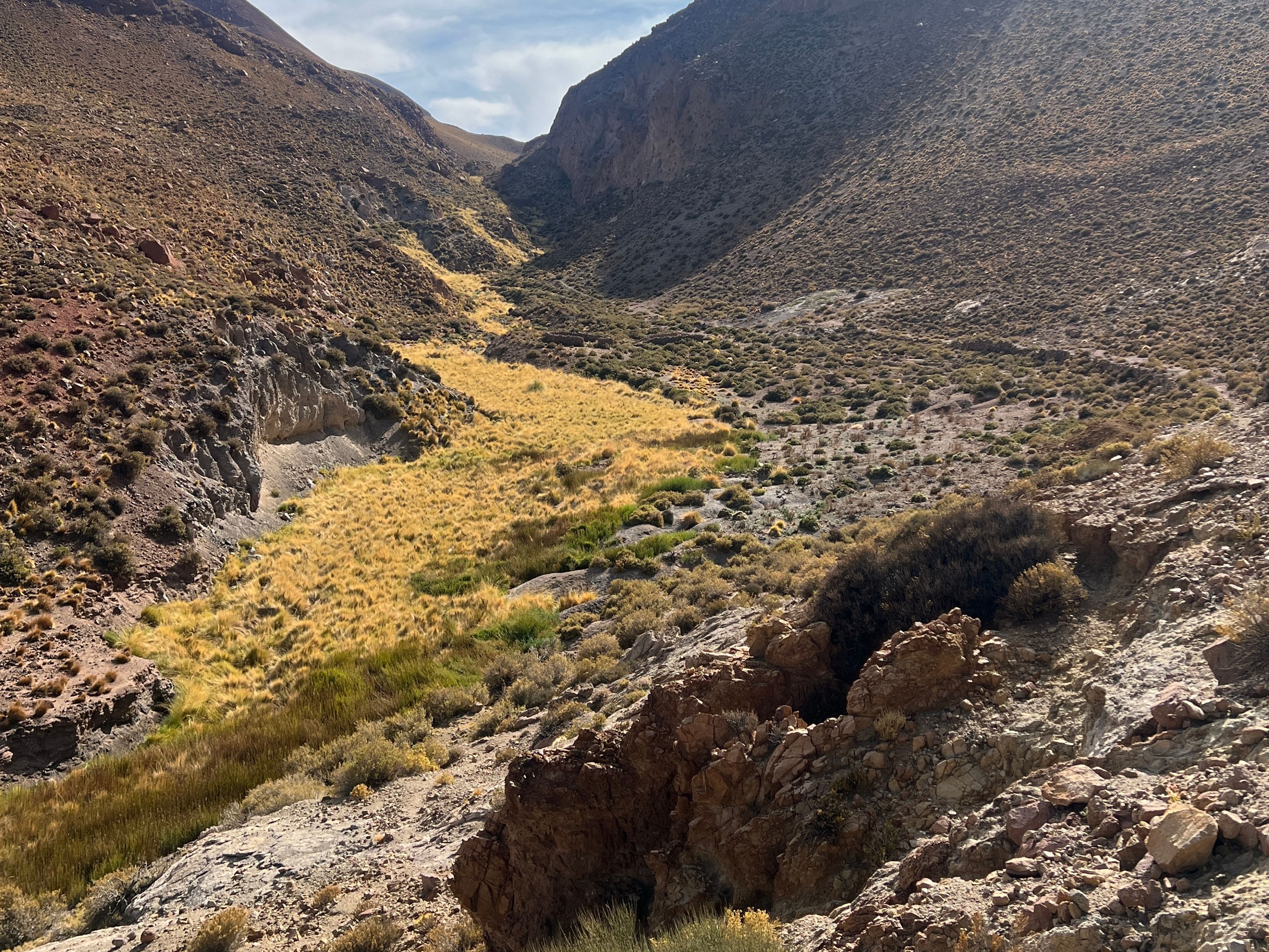 Tур ПРЕМИУМ "ТРЕККИНГ В МАЧУКУ – РИО-ГРАНДЕ". "TREKKING TO MACHUCA - RÍO GRANDE" PREMIUM Tour, San Pedro de Atacama, Chile. 