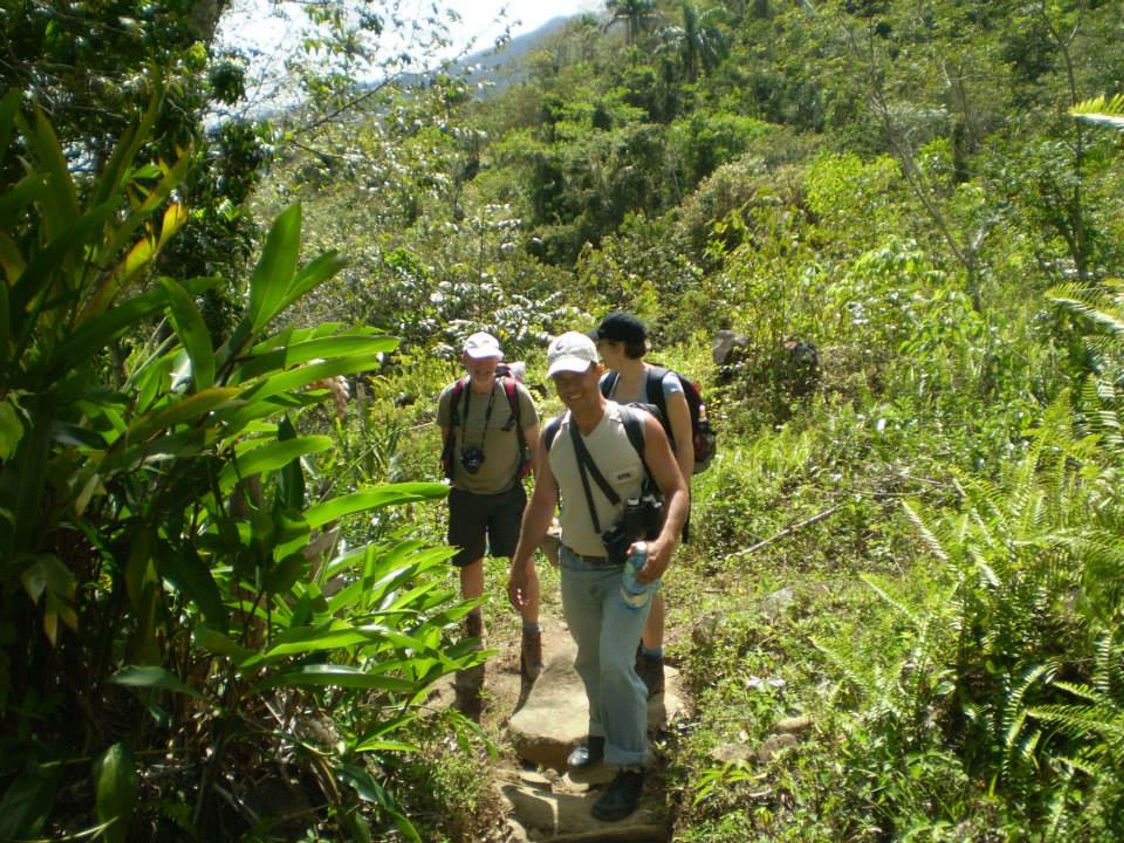 Tour di Trekking “PICO REAL DEL TURQUINO (DA VILLA SANTO DOMINGO)” (3 giorni / 2 notti). Pico Real del Turquino, Turquino National Park, Granma, Cuba.