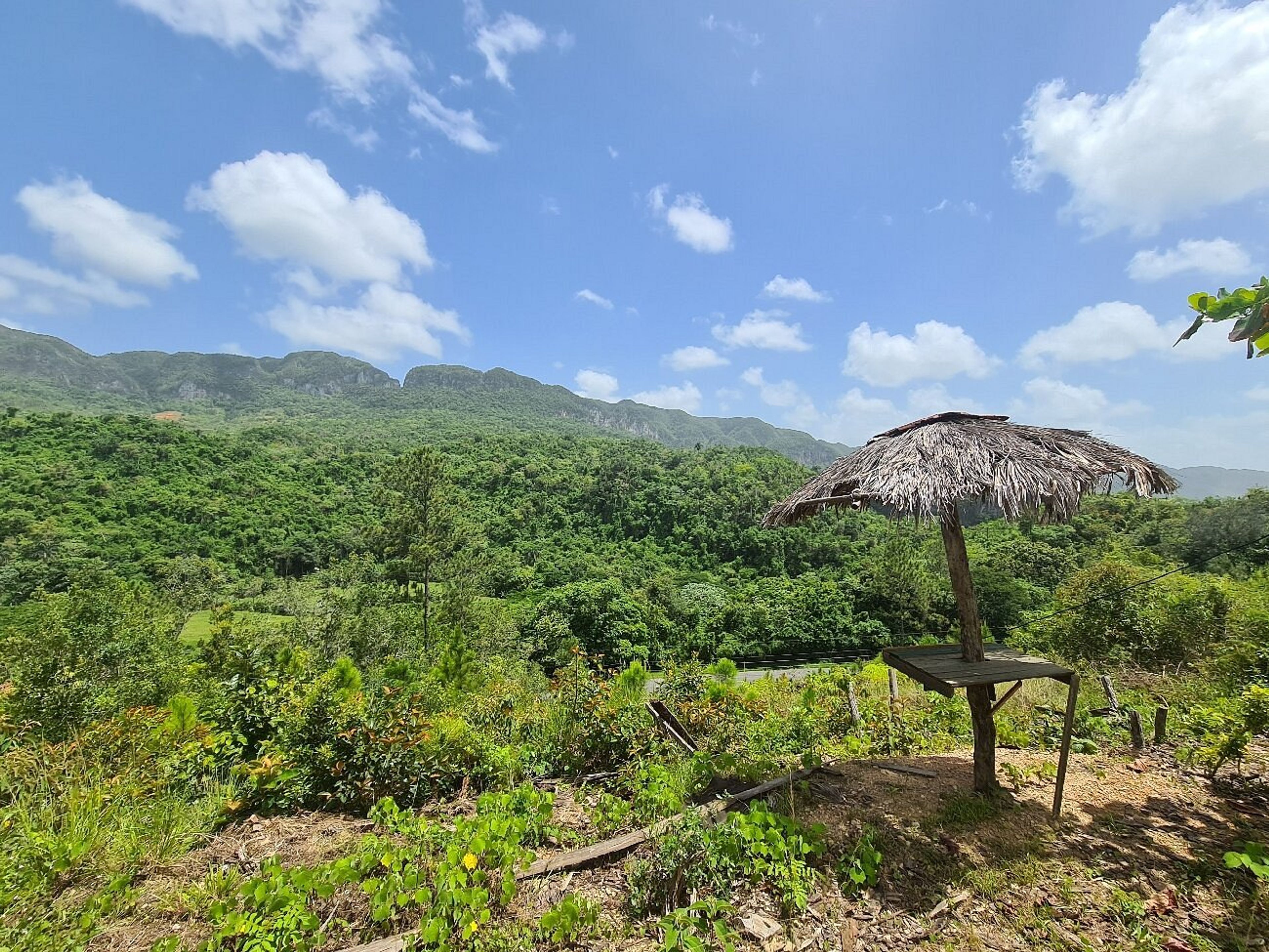 "EIN ATEMBERAUBENDER BLICK AUF DAS VIÑALES-TAL VON DER ZIPLINE AUS" Tour. Canopy Tour (zipline park) in Viñales Valley, Viñales, Pinar del Río, Cuba.