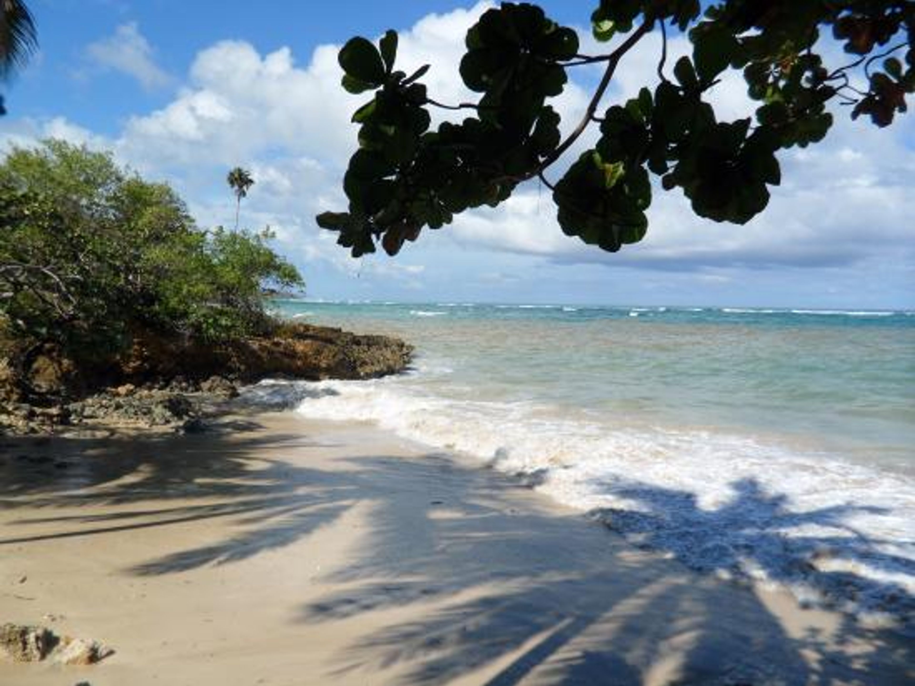 Джип Cафари "ФИНКА ДУАБА + РЕКА ТОА + ПЛЯЖ МАГУАНА". Jeep Safari "FINCA DUABA + TOA RIVER + MAGUANA BEACH", Baracoa, Guantánamo, Cuba.