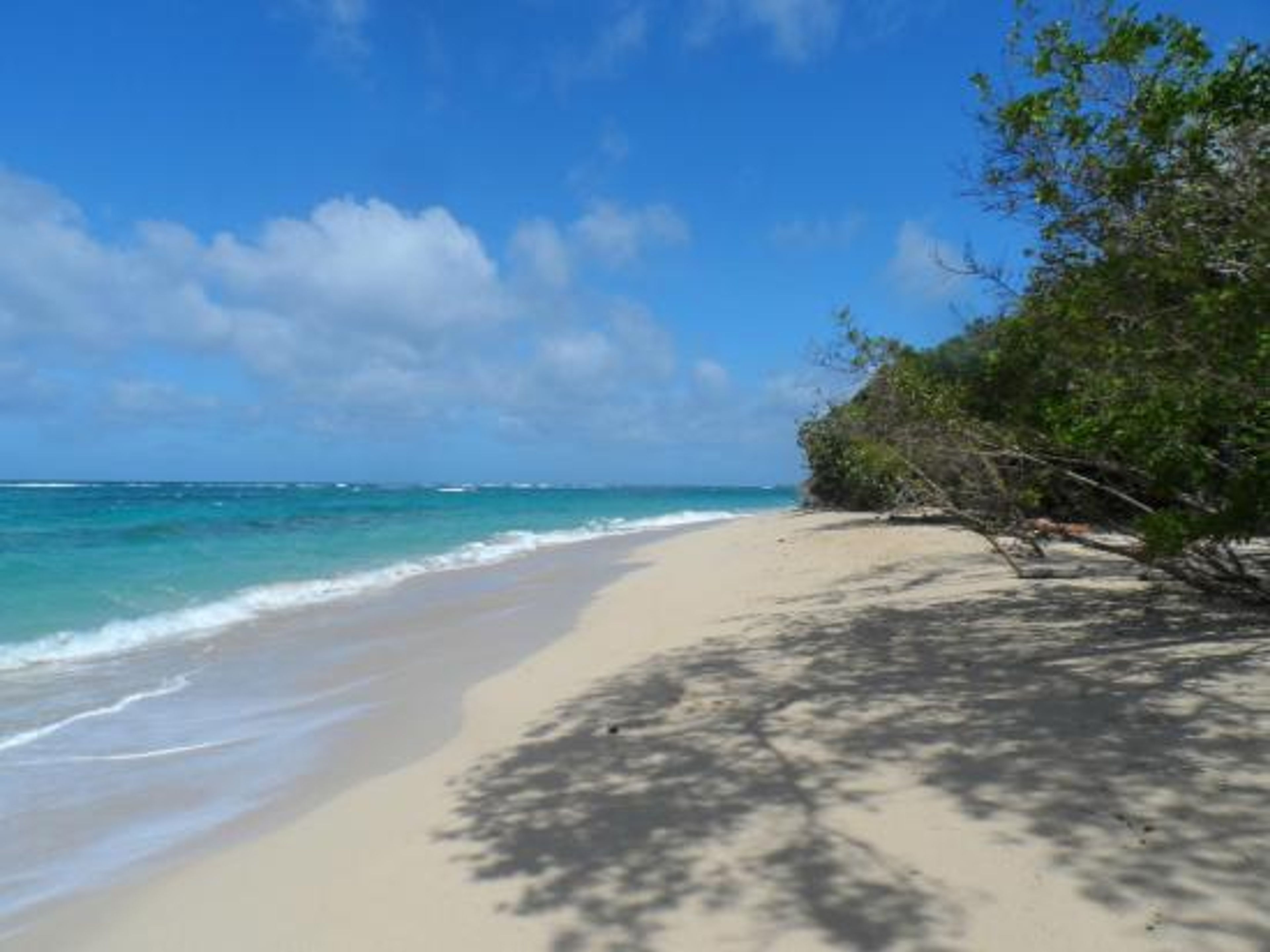 Джип Cафари "ФИНКА ДУАБА + РЕКА ТОА + ПЛЯЖ МАГУАНА". Jeep Safari "FINCA DUABA + TOA RIVER + MAGUANA BEACH", Baracoa, Guantánamo, Cuba.