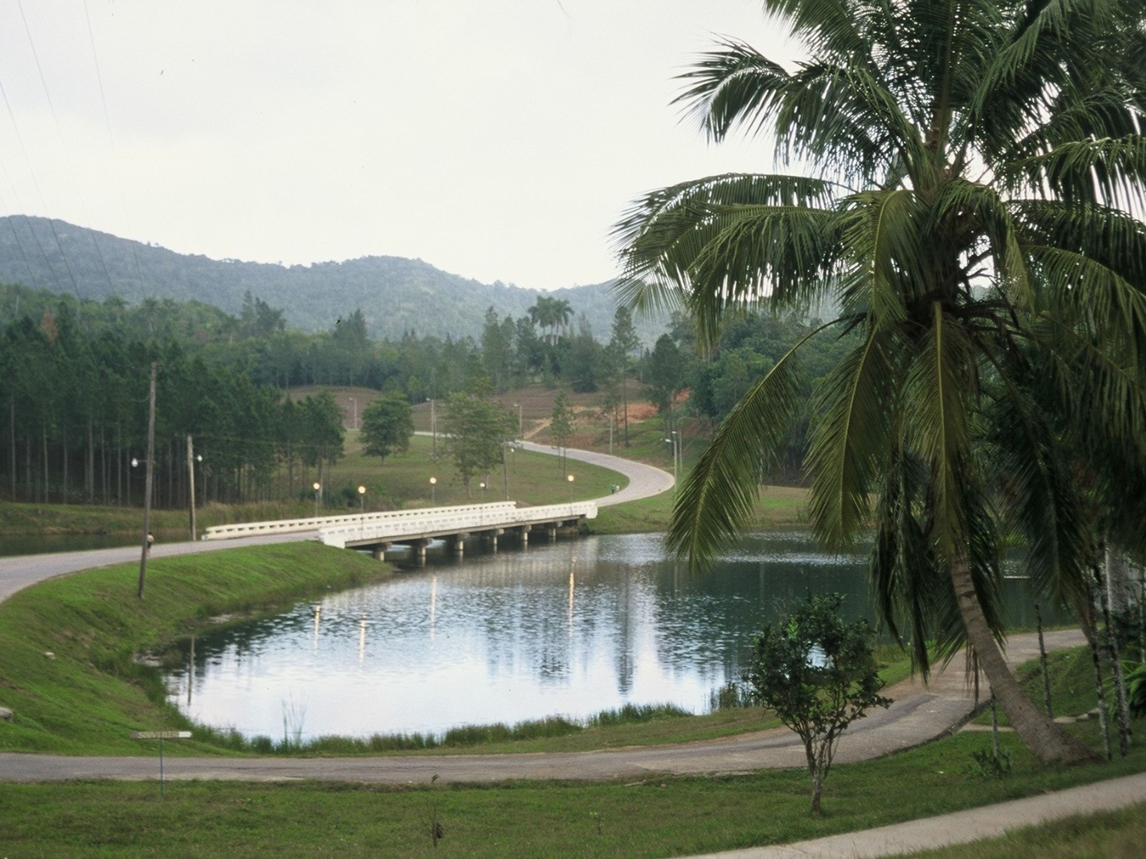 “Las Terrazas - Soroa” Tour. Las Terrazas Community panoramic view