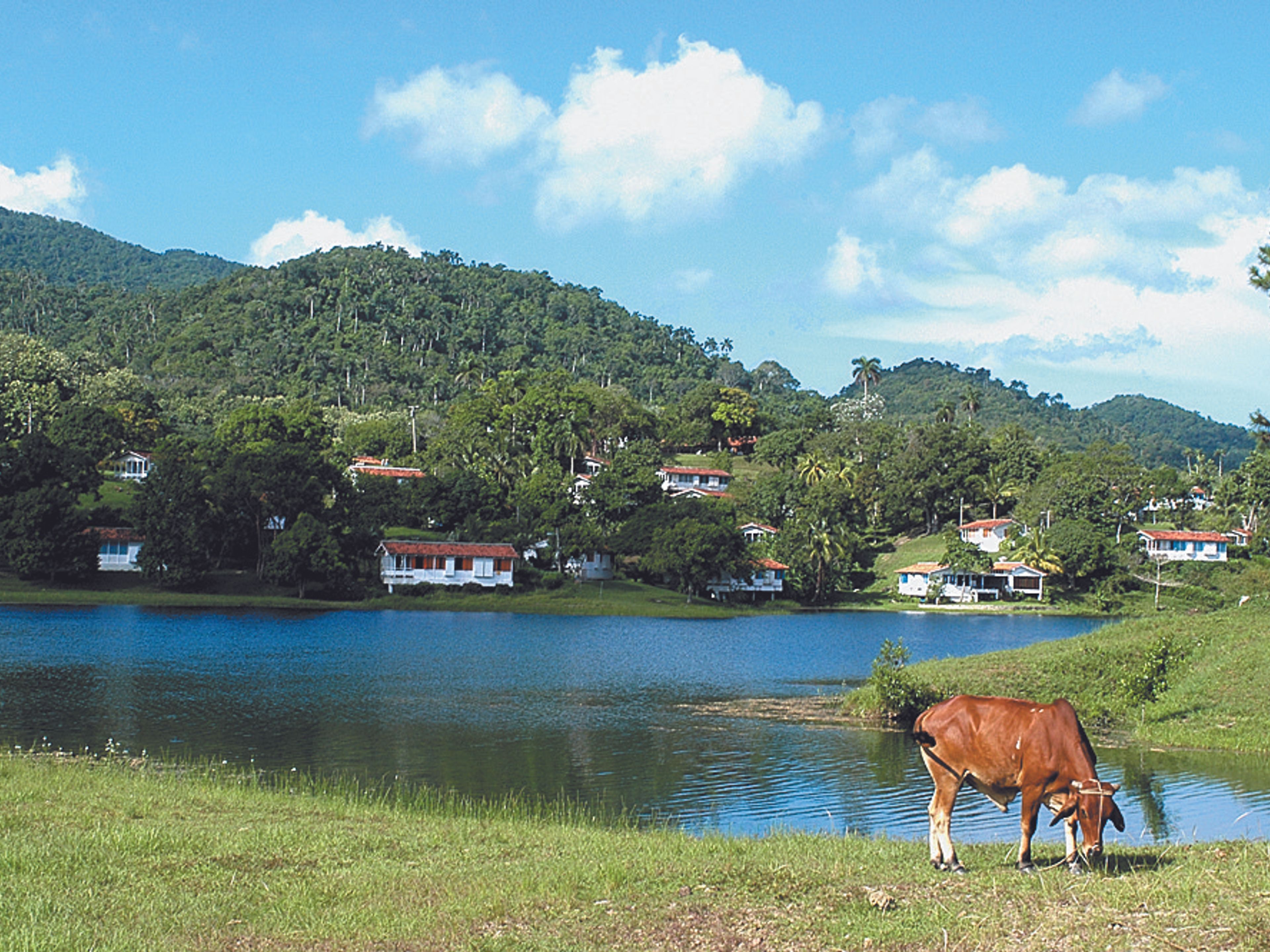 “Las Terrazas - Soroa” Tour. Las Terrazas Community panoramic view
