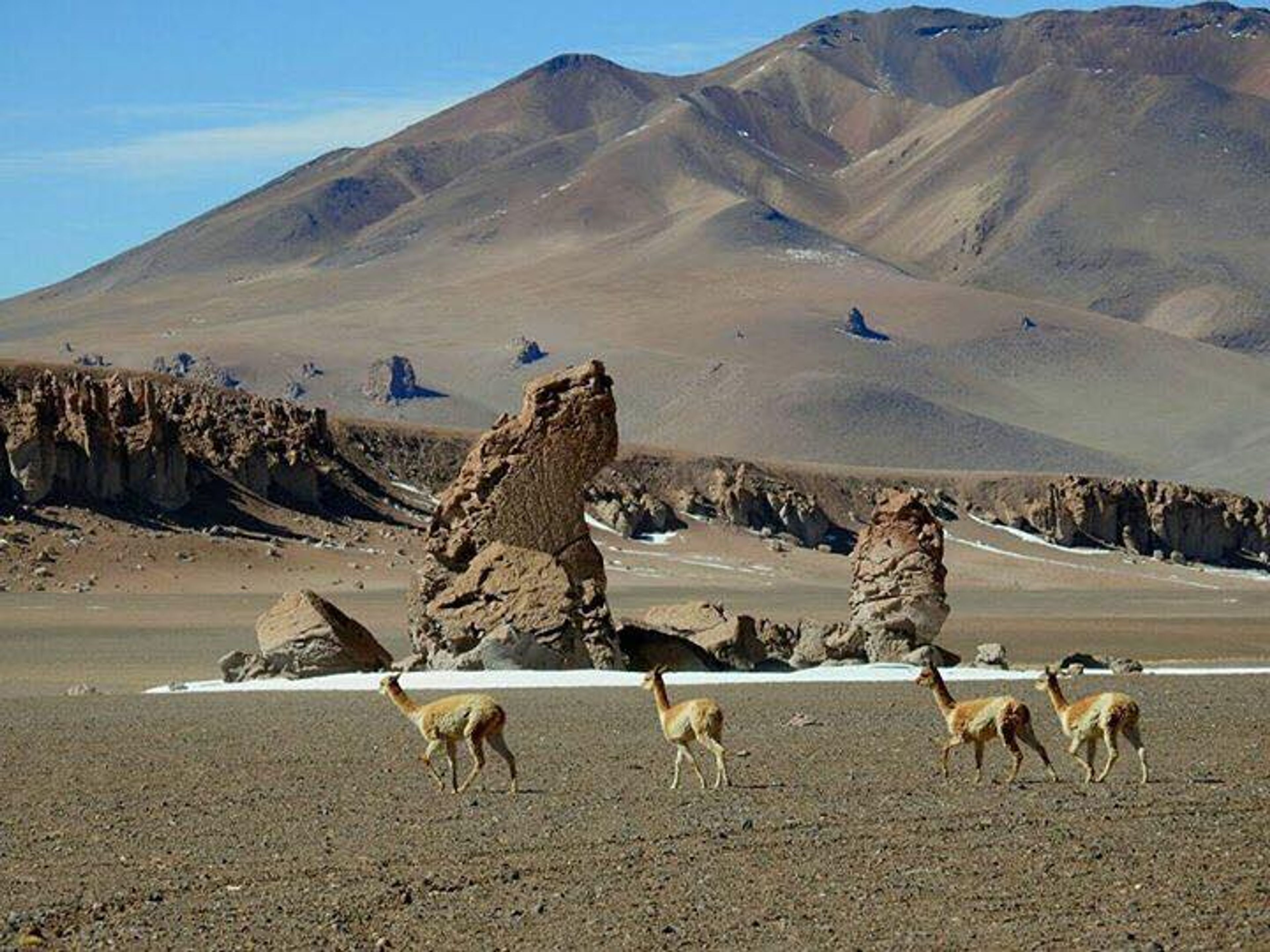“MONJES DE LA PACANA & TARA SALT FLAT” TOUR. Monks of La Pacana, panoramic view, Antofagasta region, Chile