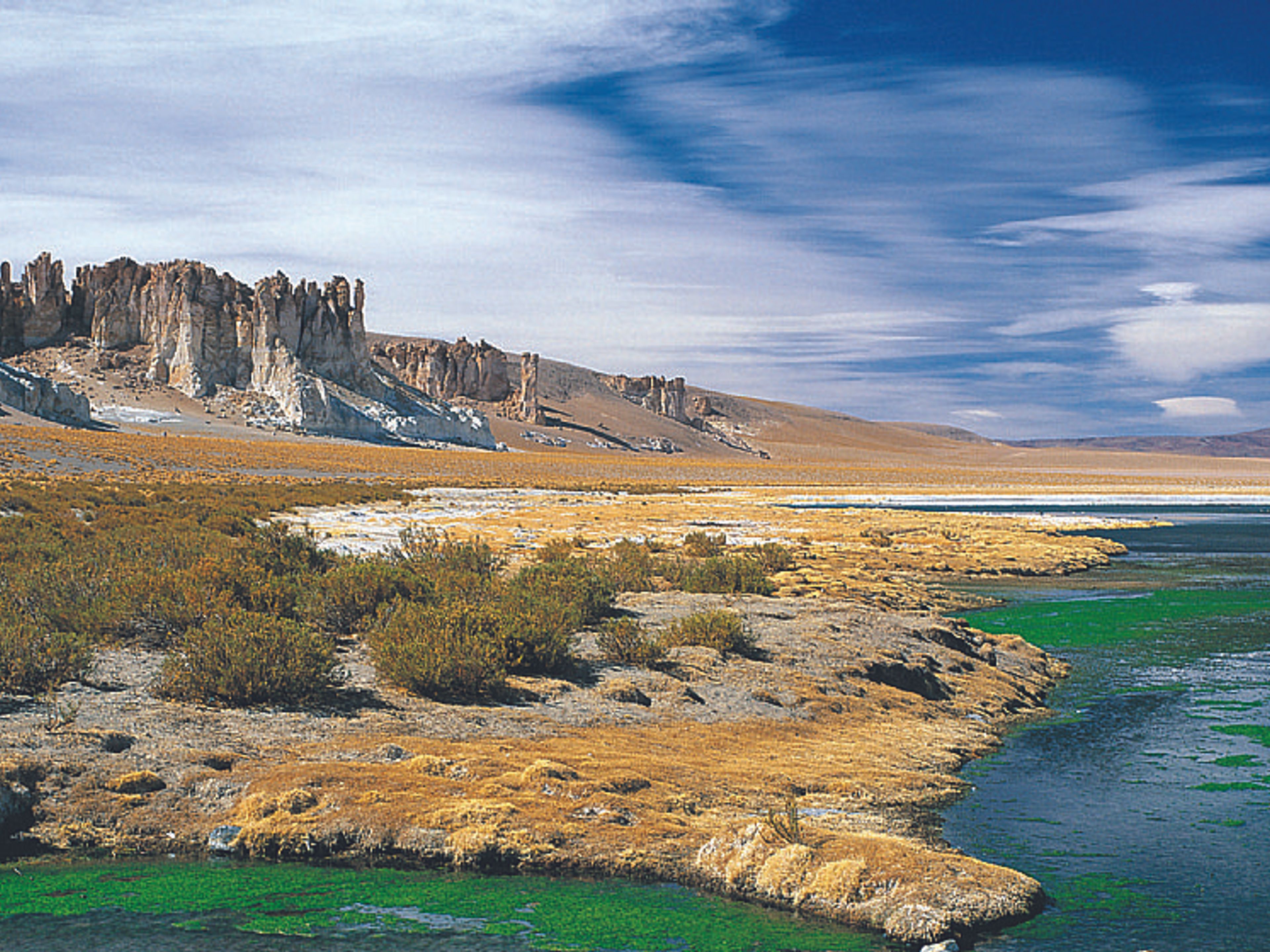 “MONJES DE LA PACANA & TARA SALT FLAT” TOUR. Salar de Tara, panoramic view, Antofagasta region, Chile