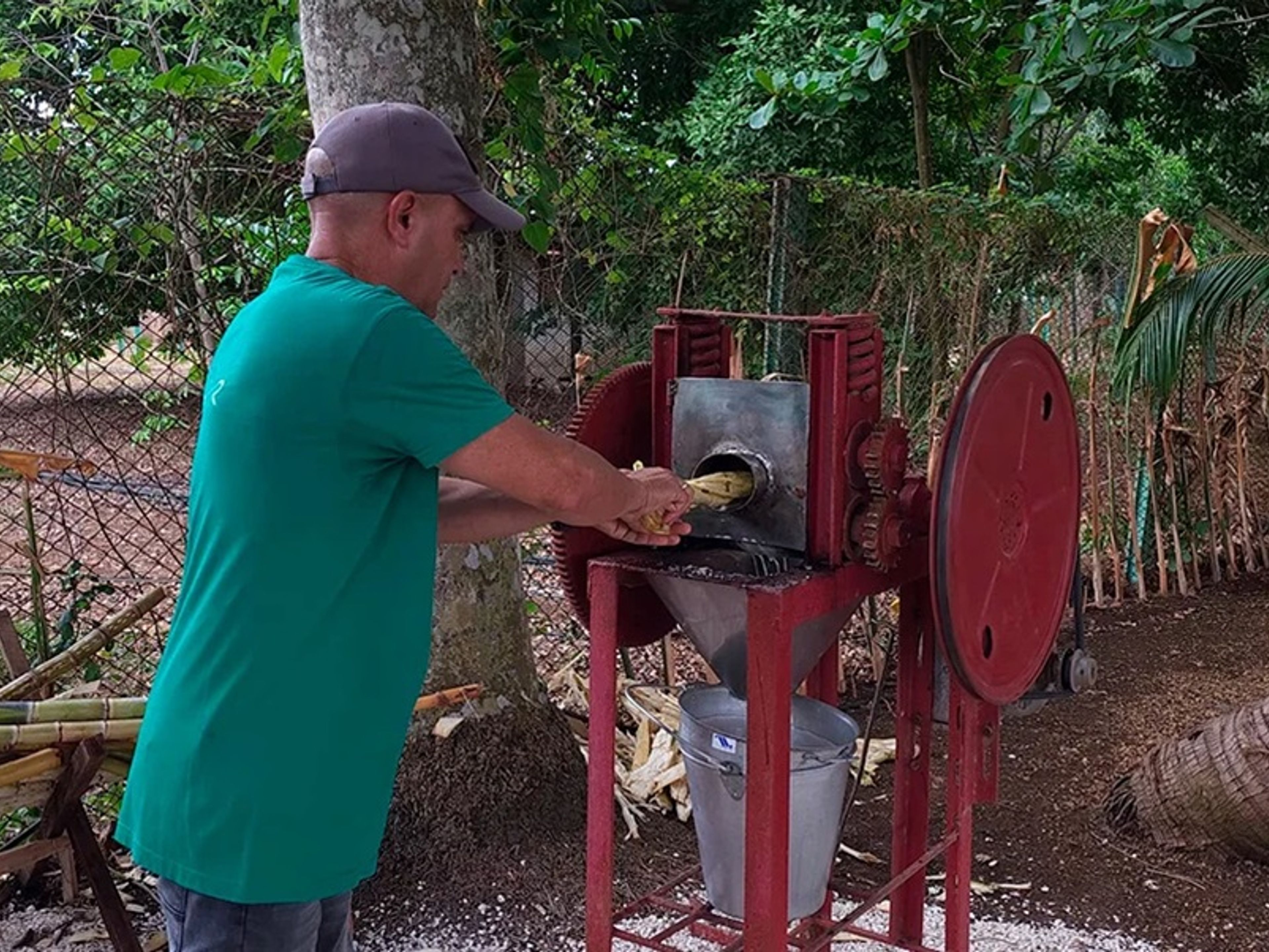 Excursión “CUBA NOW”