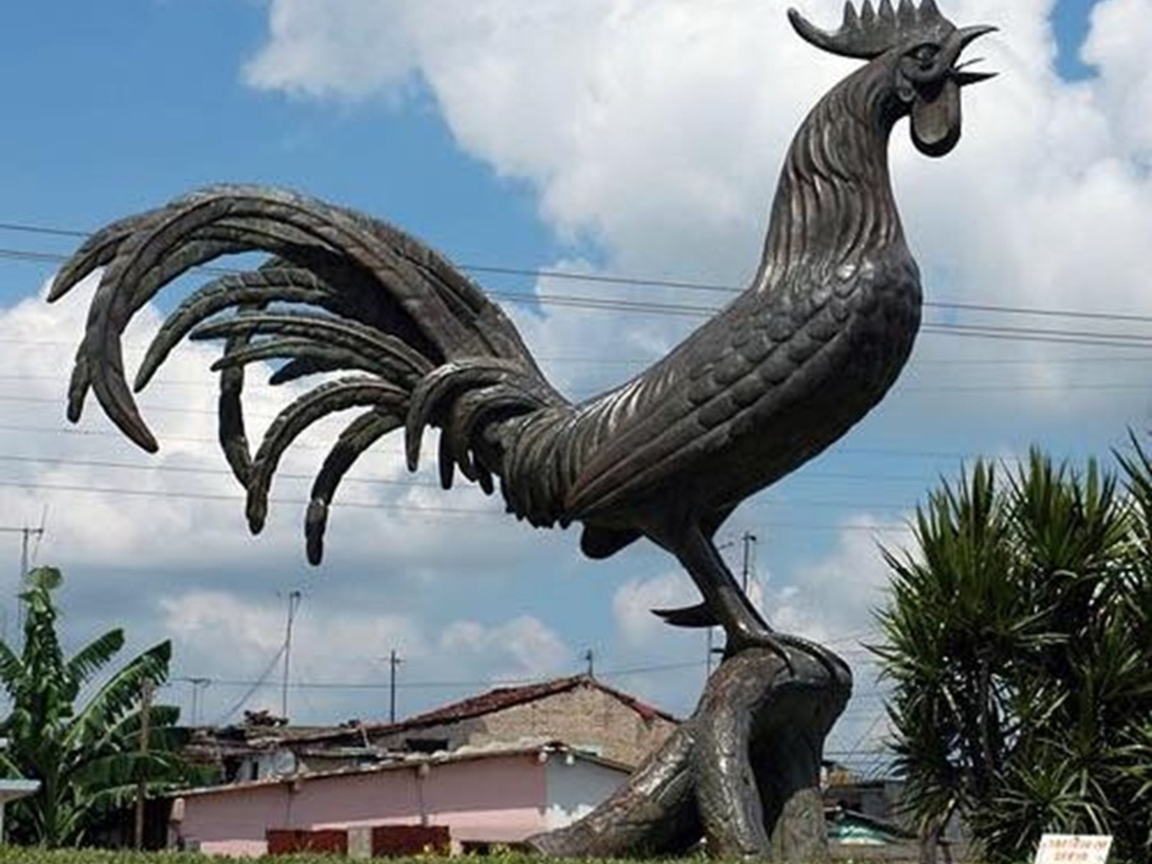 Jeep Safari "ENTLANG DER HABANO-ROUTE"