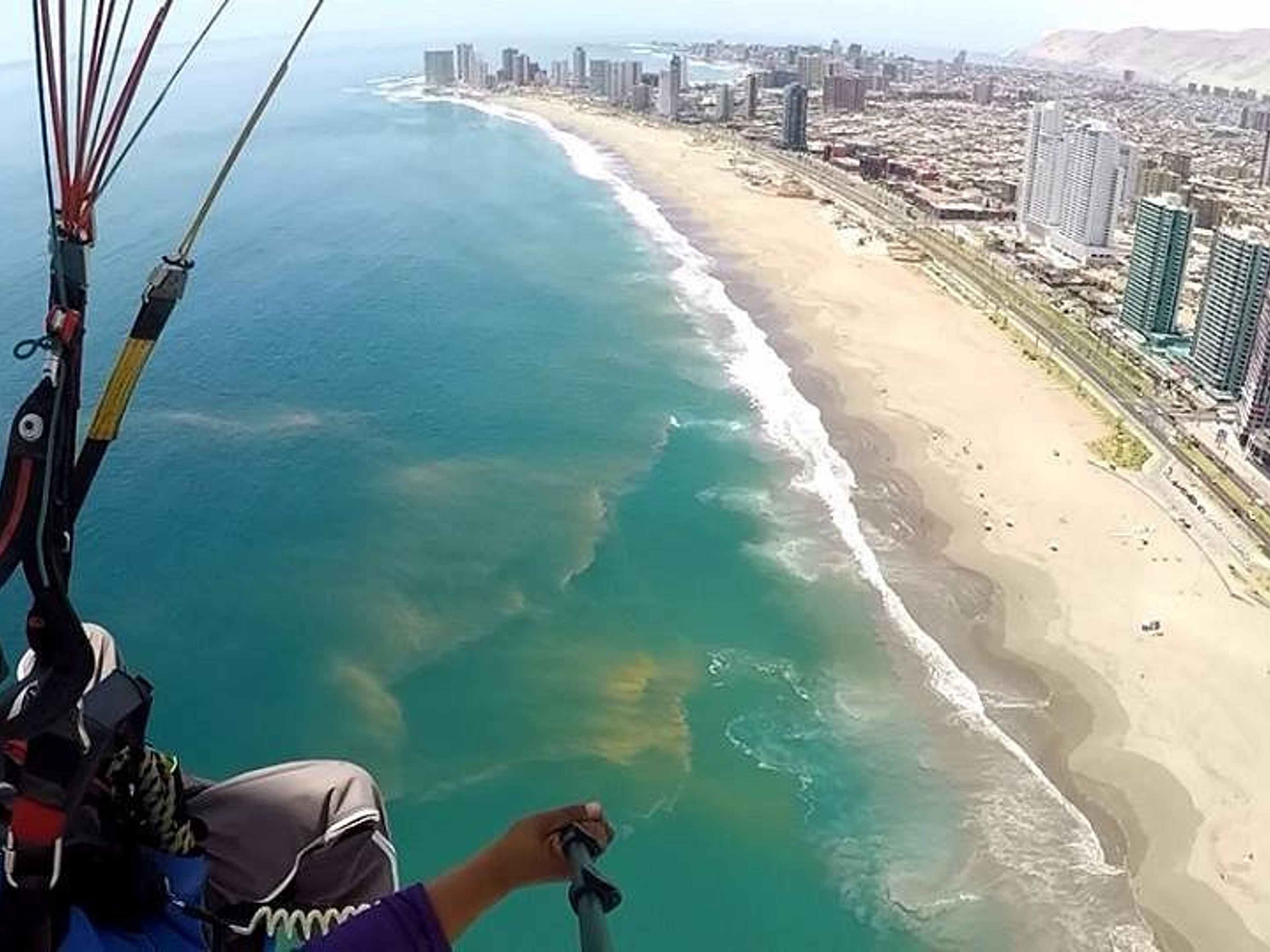 Excursión “PARAPENTE CORDILLERA DE LA COSTA”. null