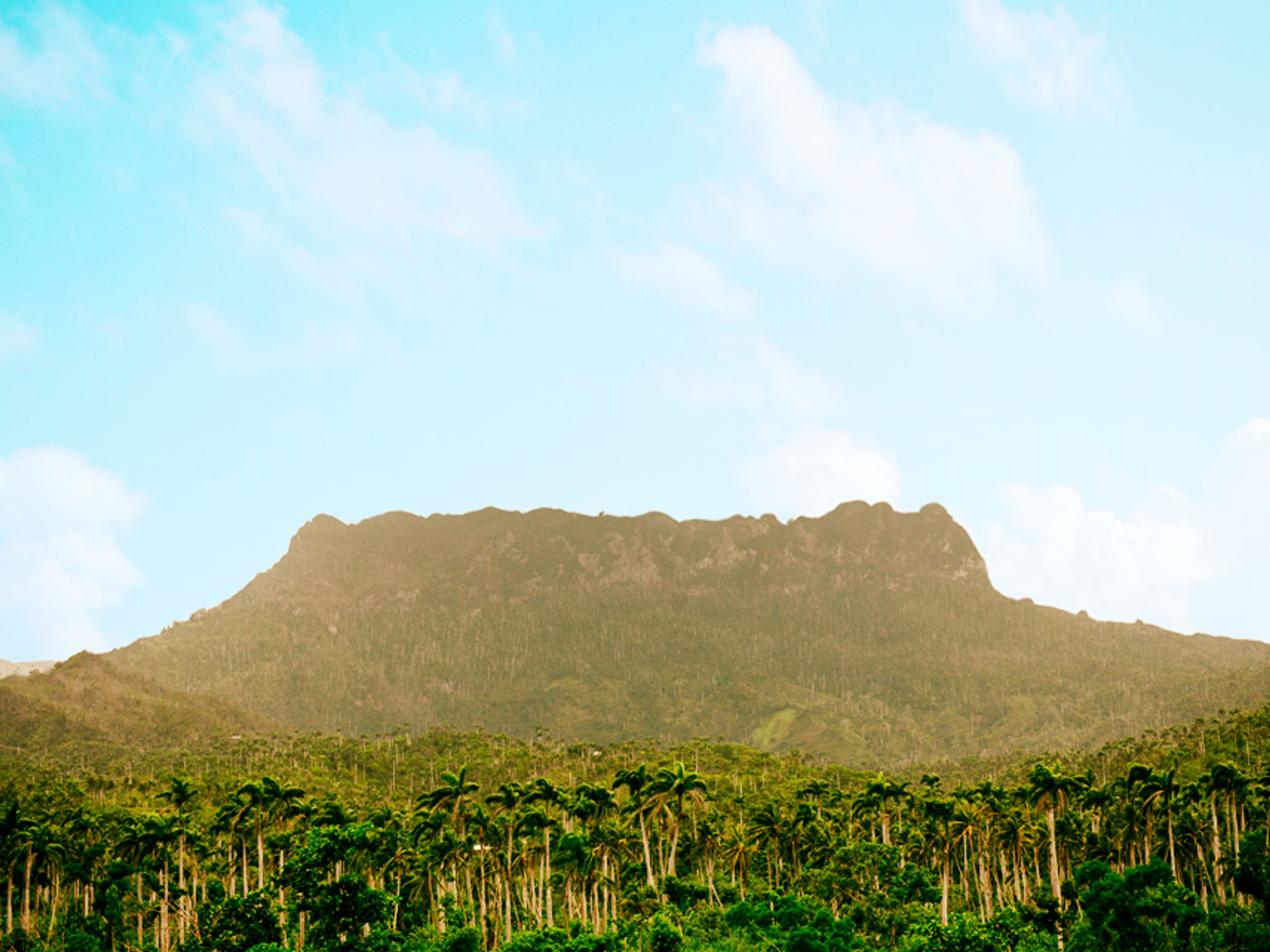 Джип Cафари "НАТУРАЛЬНЫЙ ПАРК ЭЛЬ ЮНКЕ". Jeep Safari "EL YUNQUE NATURAL PARK", Baracoa, Guantánamo, Cuba.